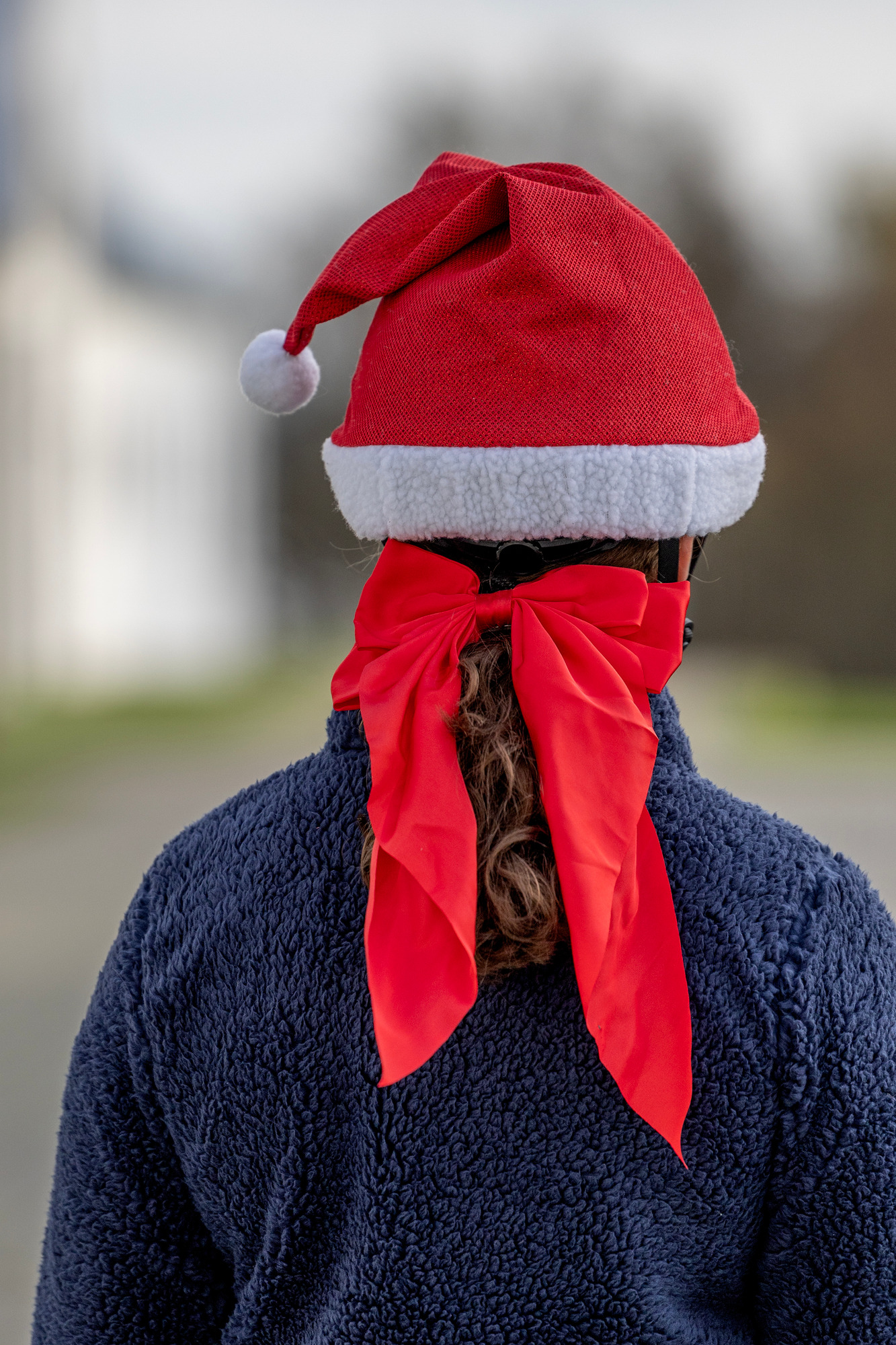HorseGuard FW26 Weihnachtsschleife