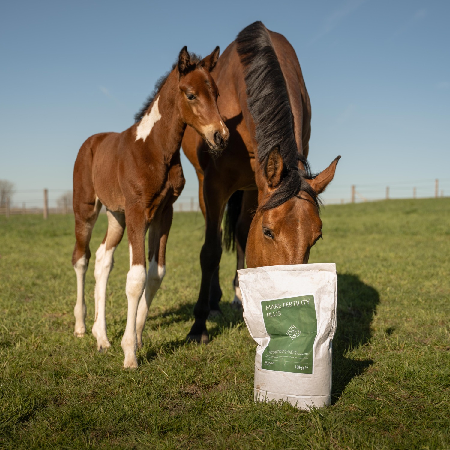 Grooming Deluxe Fertility Plus for Mares
