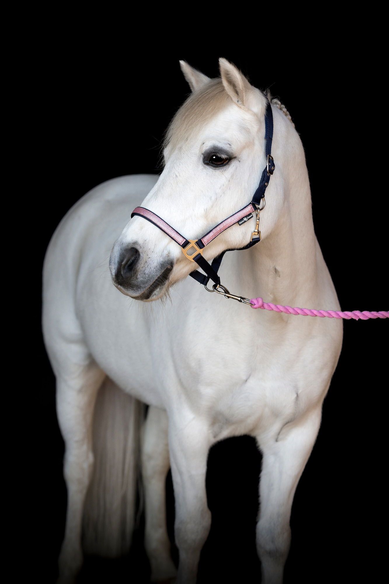 HorseGuard FW26 Halfter Idaho