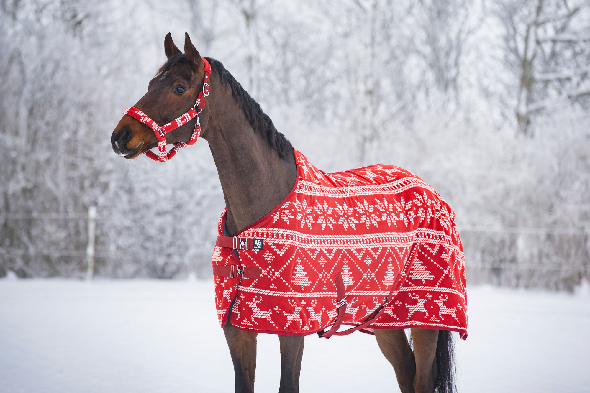 HorseGuard FW26 Fleecedecke Weihnachten