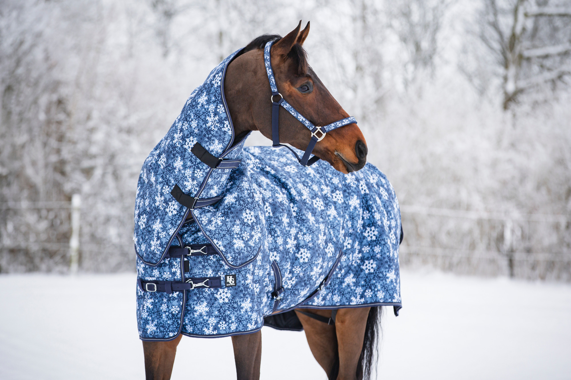 HorseGuard FW26 Snowflake Winterdecke mit Halsteil 1200D 200 g