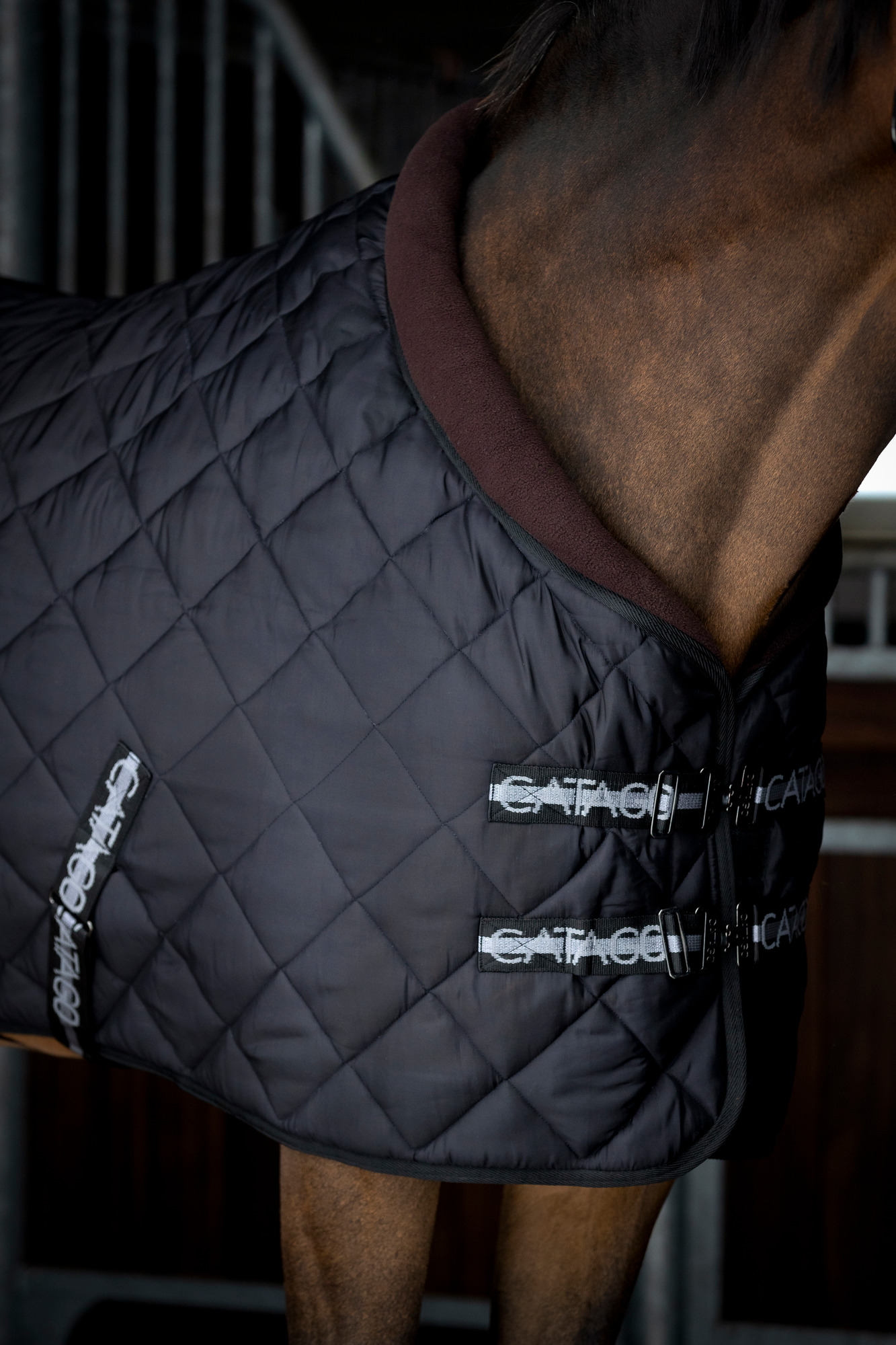 Catago FW26 Stable Rug Denver