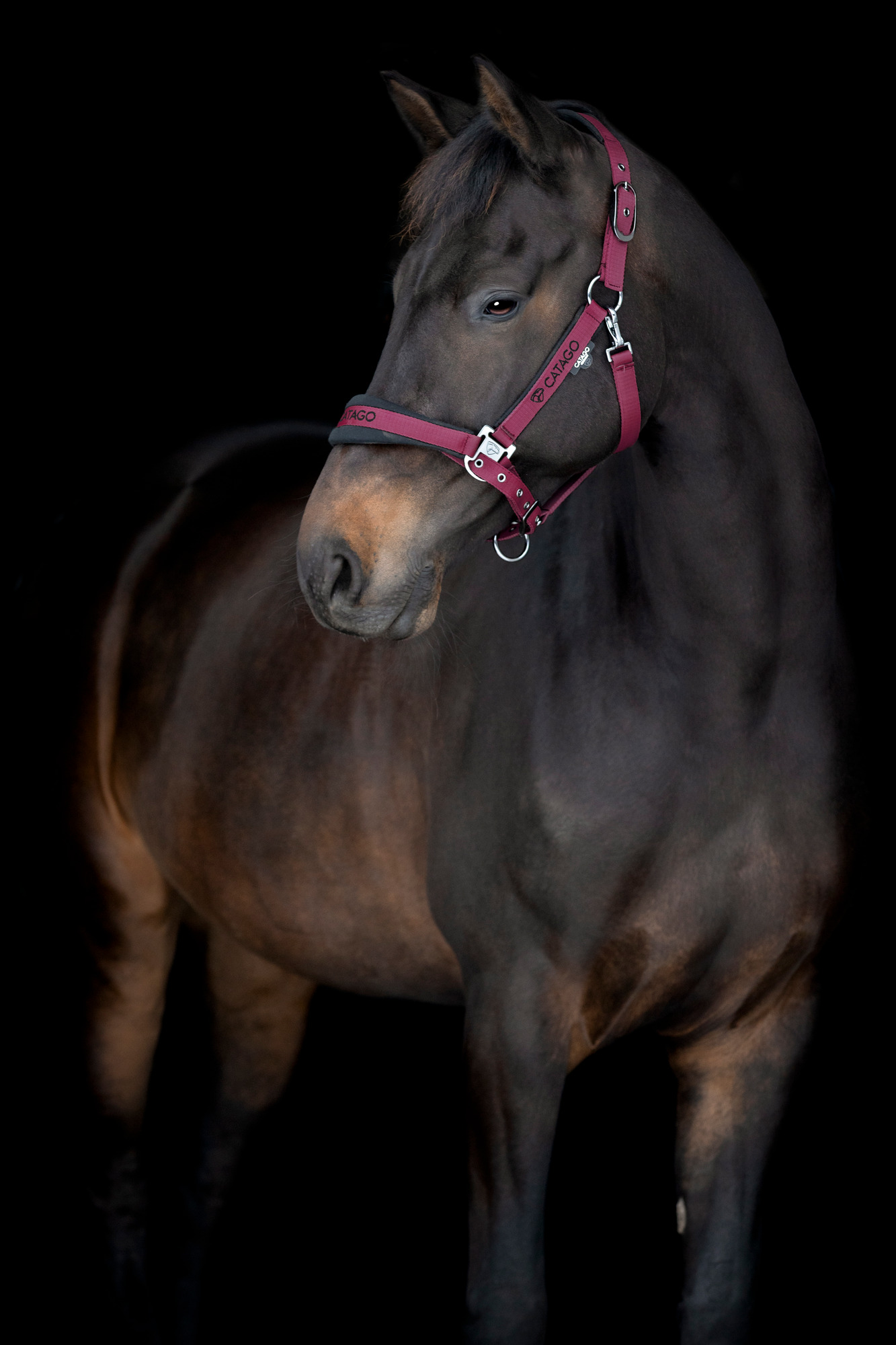 Catago FW26 FIR-Tech Halter 2.2