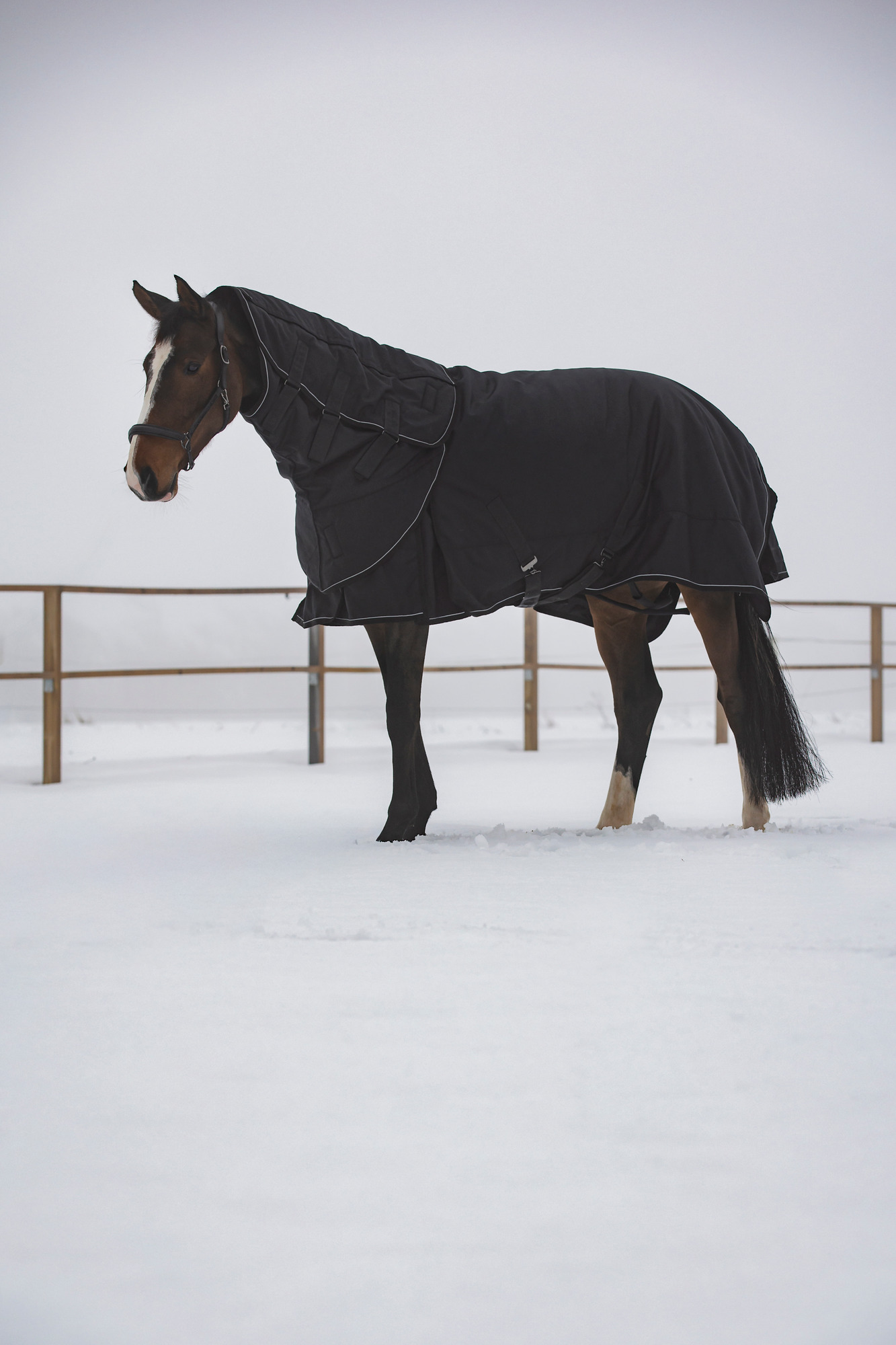 Catago FW26 Winter Rug Endurance 2.0 1680D 300G