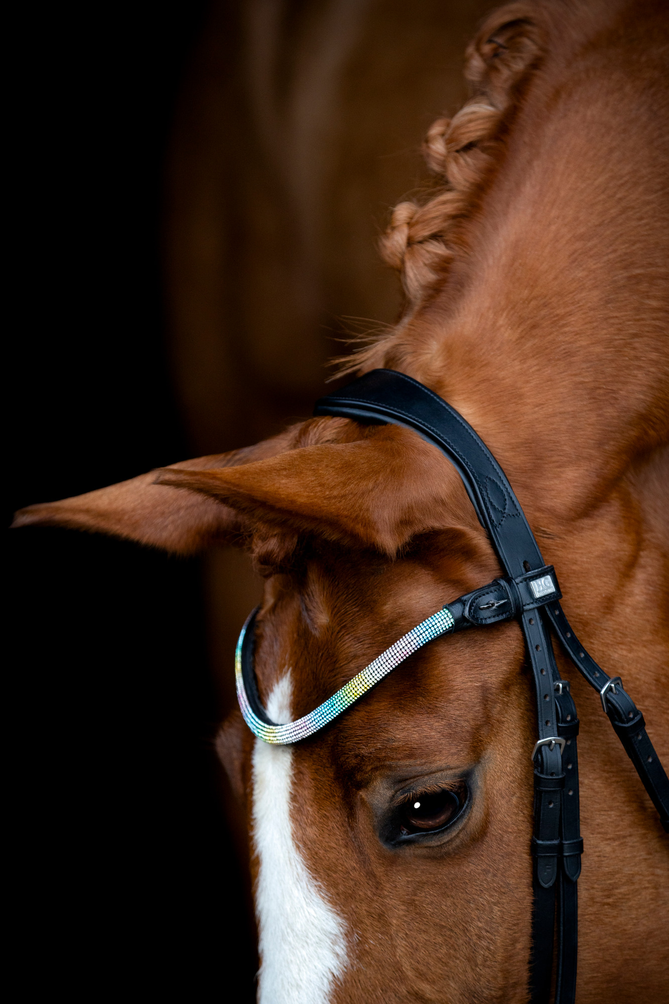 HorseGuard FW26 Stirnriemen Regenbogen