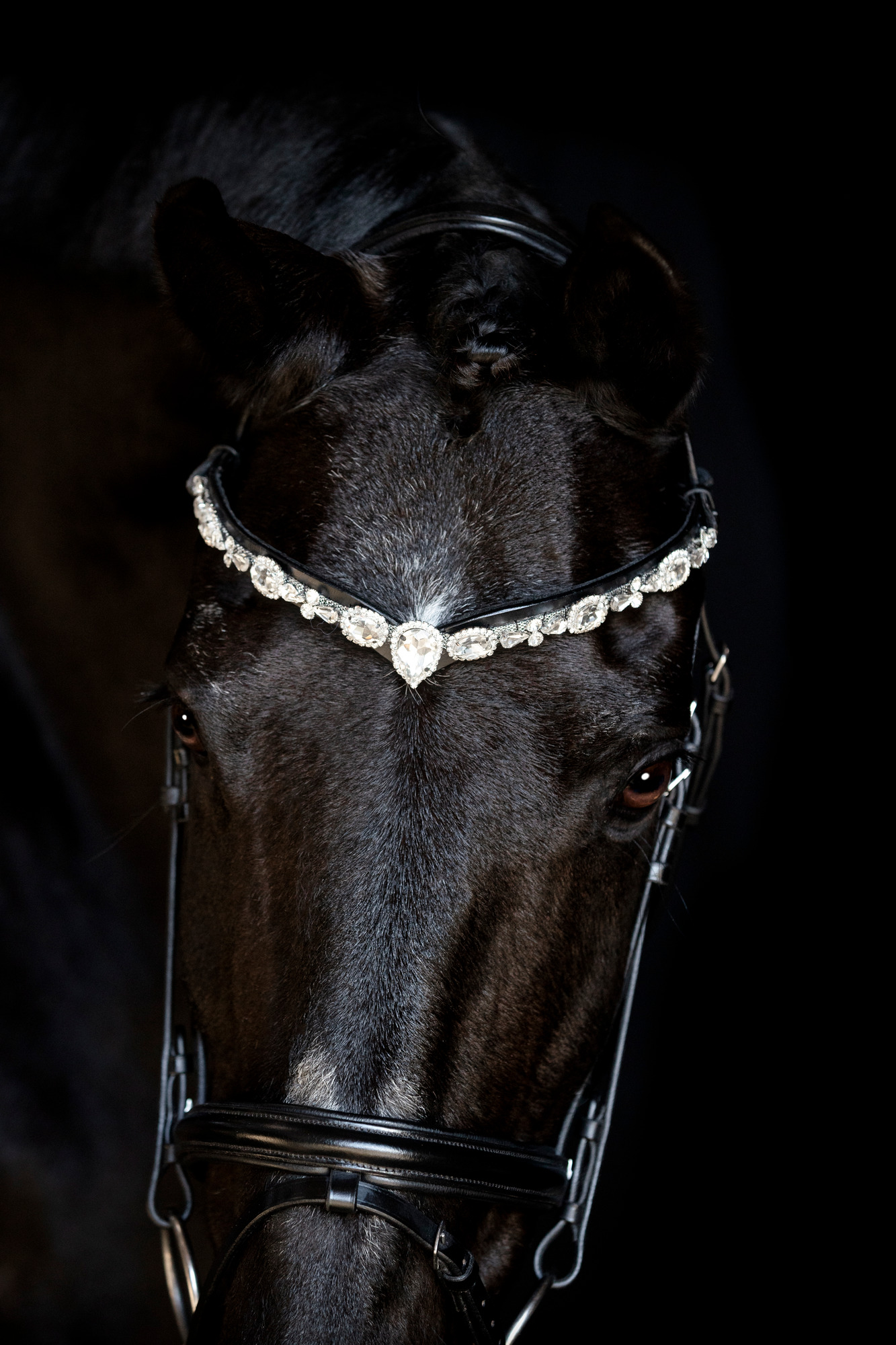 HorseGuard FW26 Stirnriemen Sunnywale