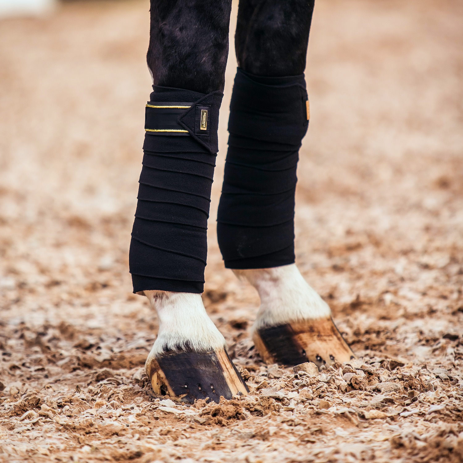 Equestrian stockholm Black Edition Gold fleece bandages