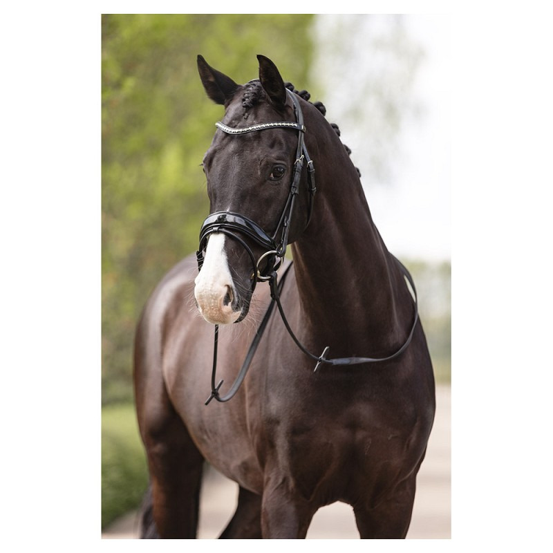ANKY Comfort Fit Double Anatomical Bridle ATH19002