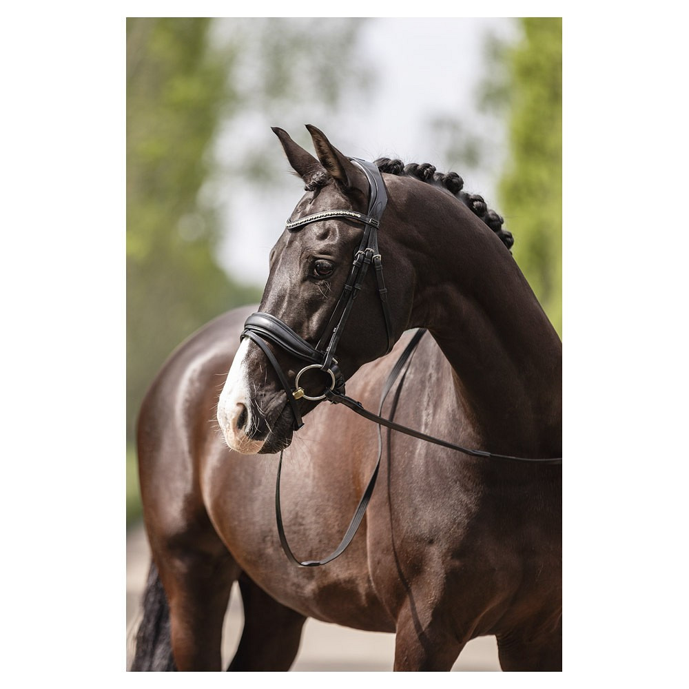 ANKY Bridle with Pullback Noseband