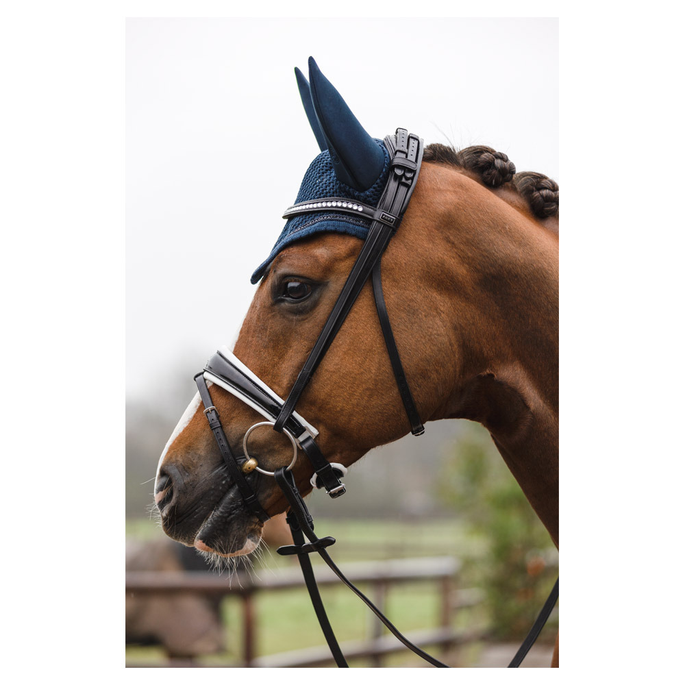 ANKY Bridle ATH22002