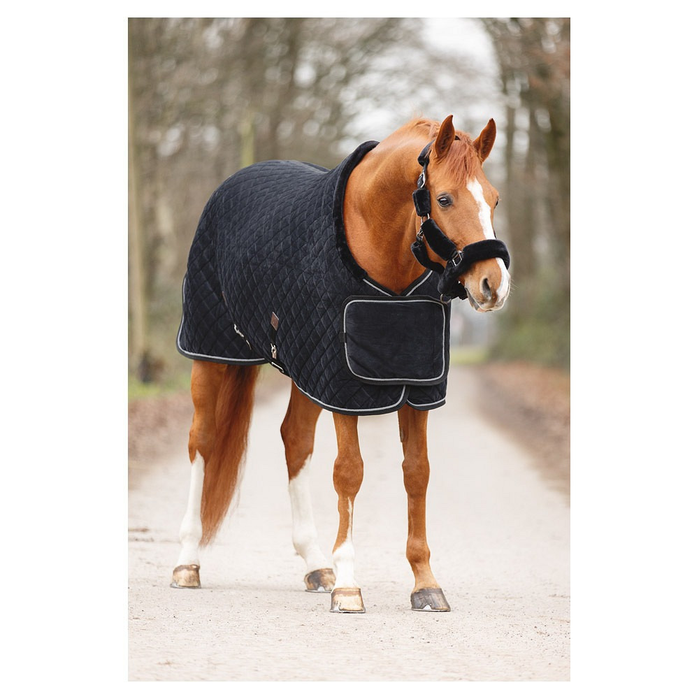 ANKY Show Rug Victory