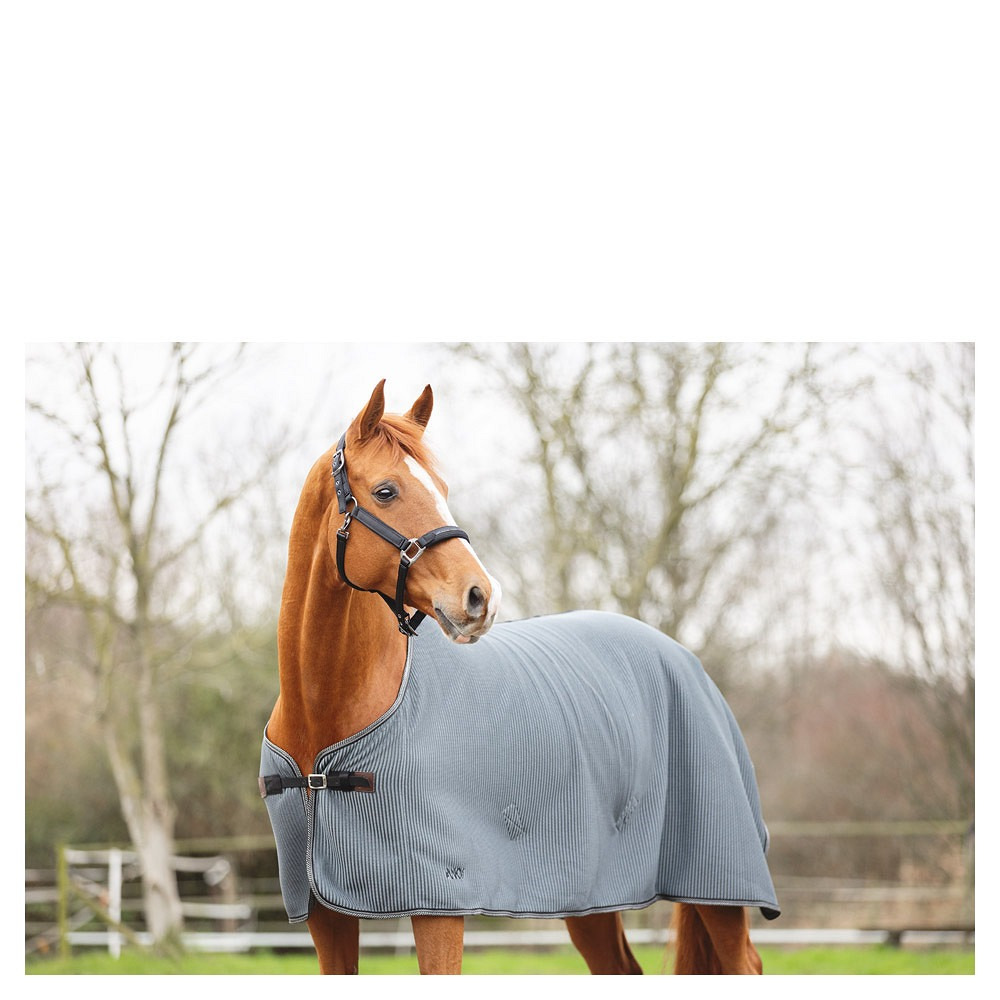 ANKY Transport Summer Rug