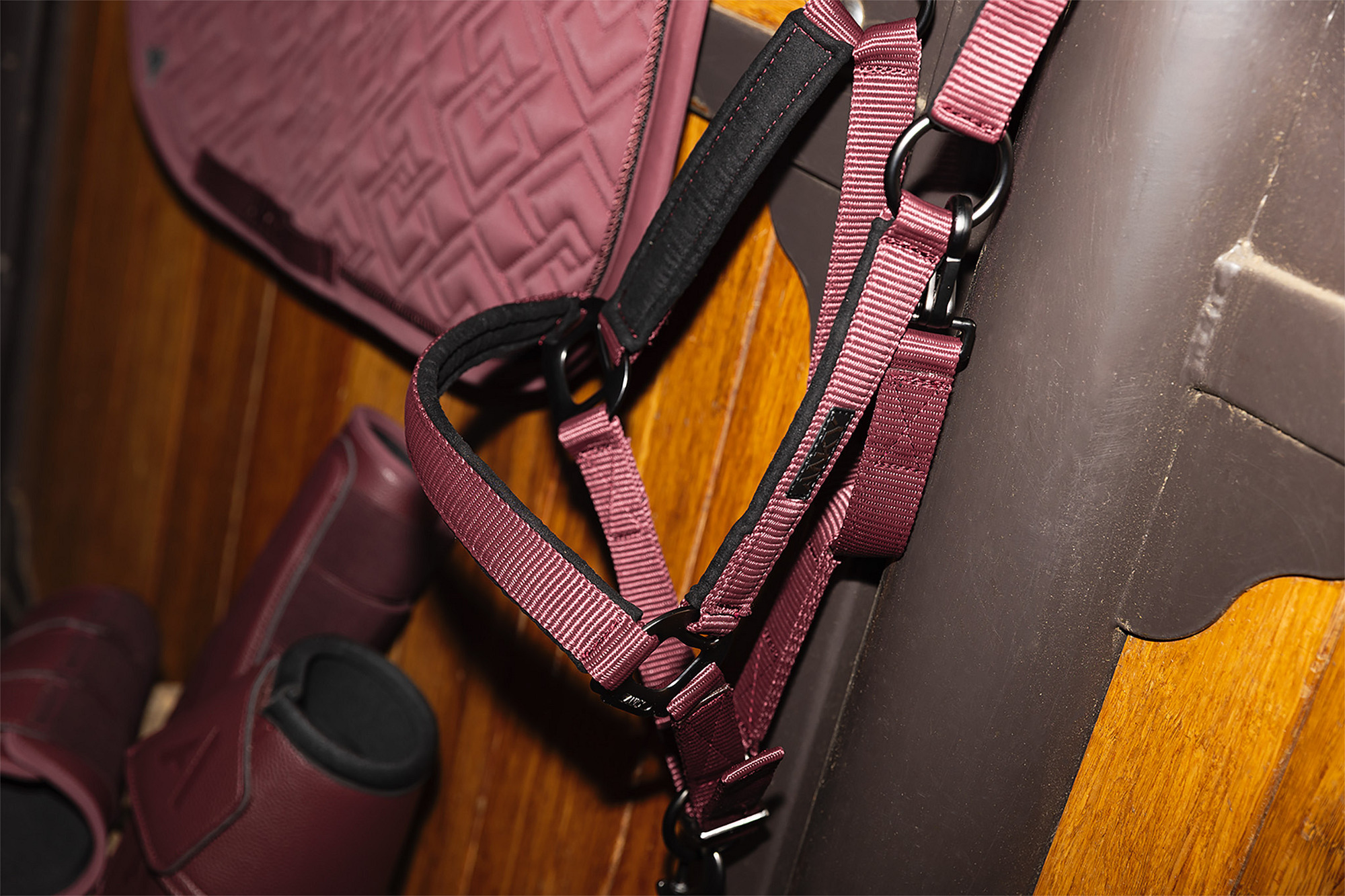 Anky Halter and Lead Rope 3C