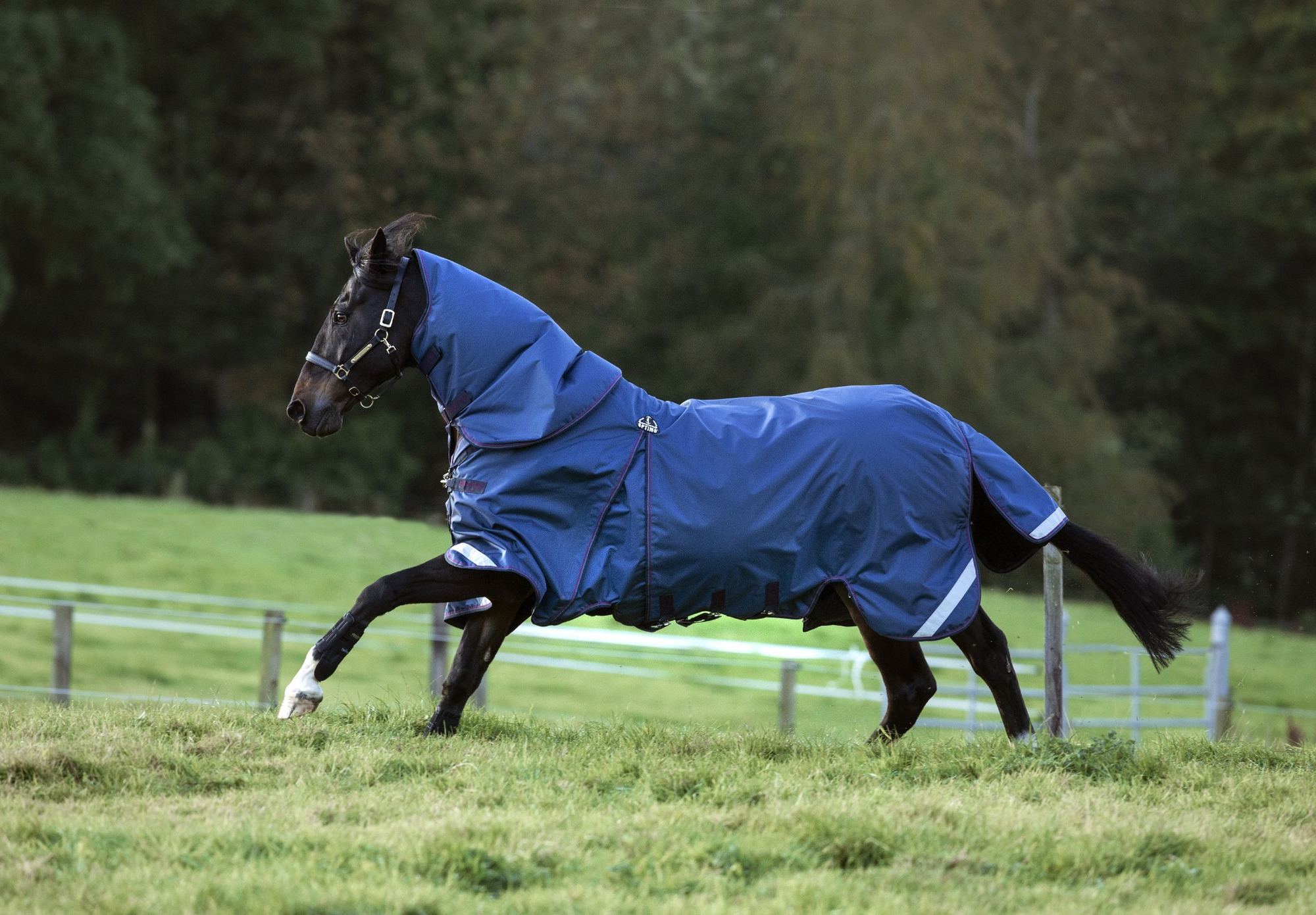 Rambo Optimo Turnout Complete