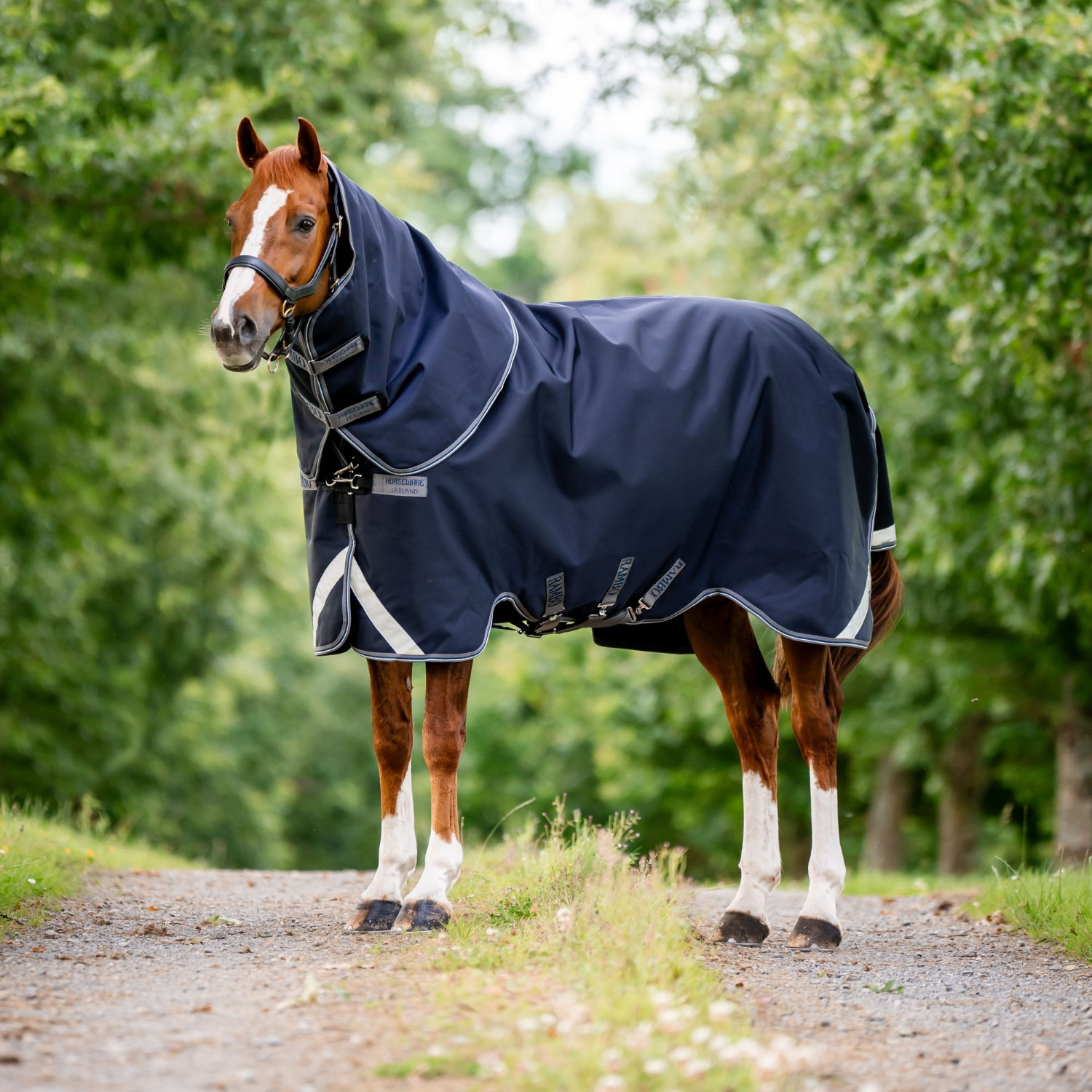 Rambo 1680D Plus Weidedecke