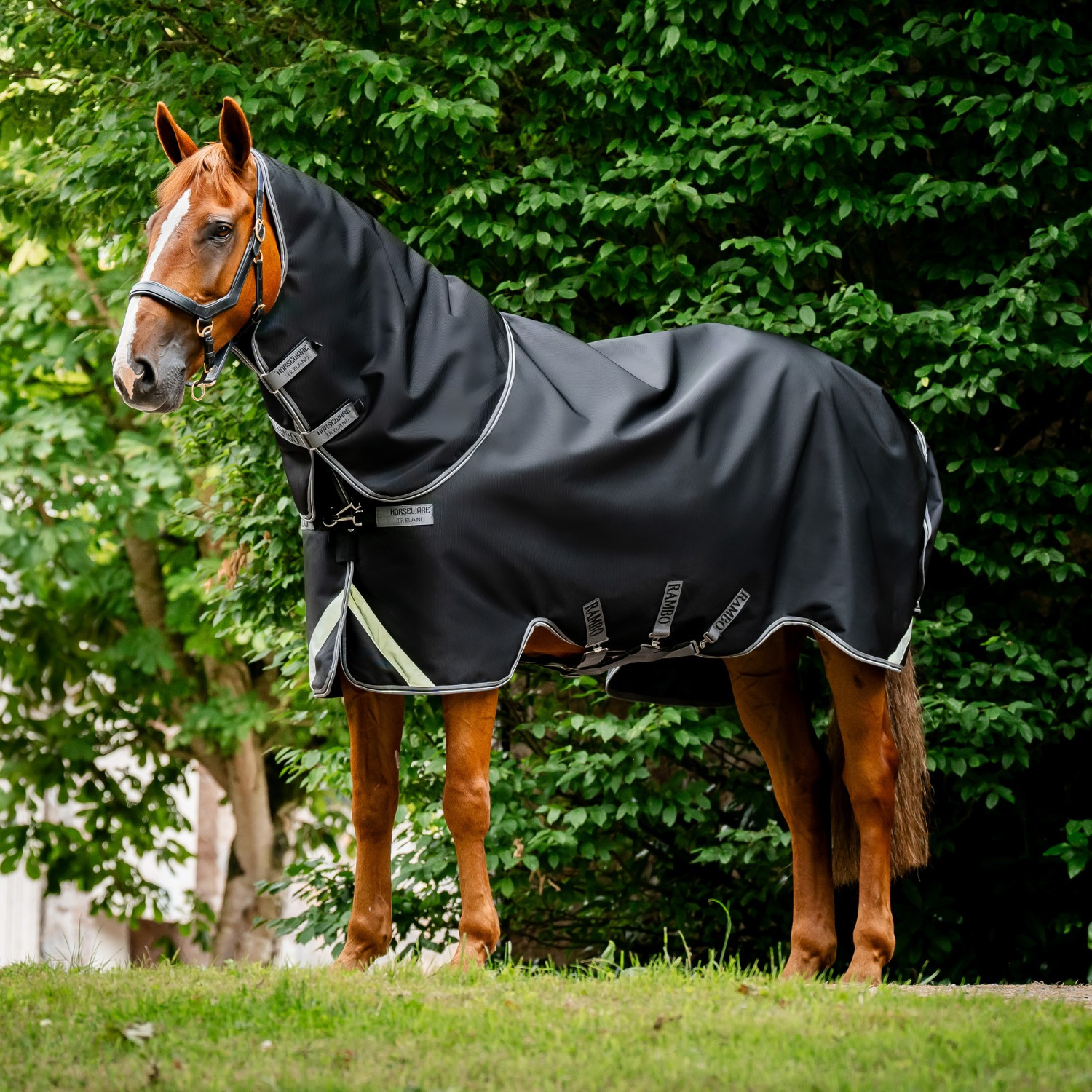 Rambo Supreme leichte Weidedecke