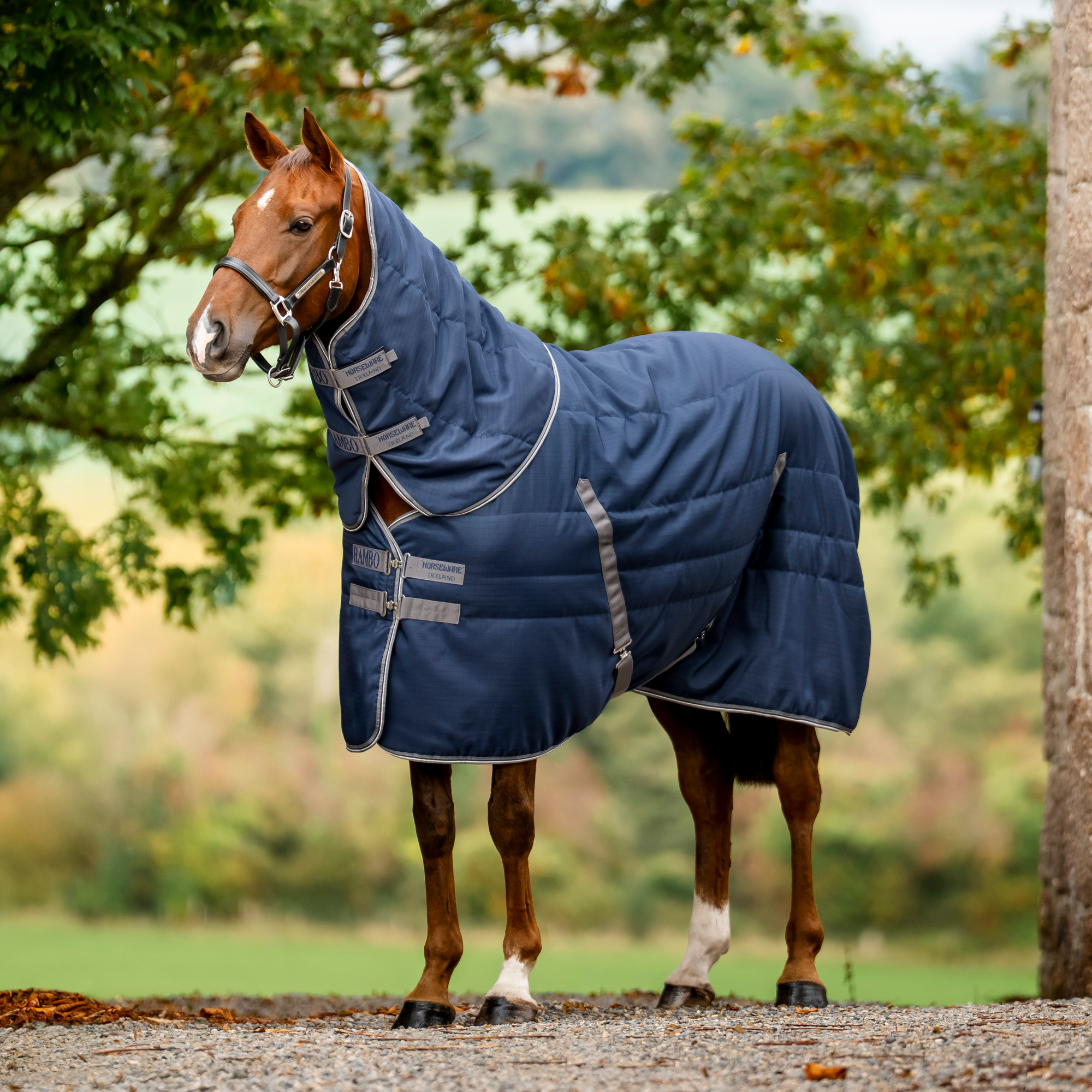 Rambo Stable 2.0 Halsteil