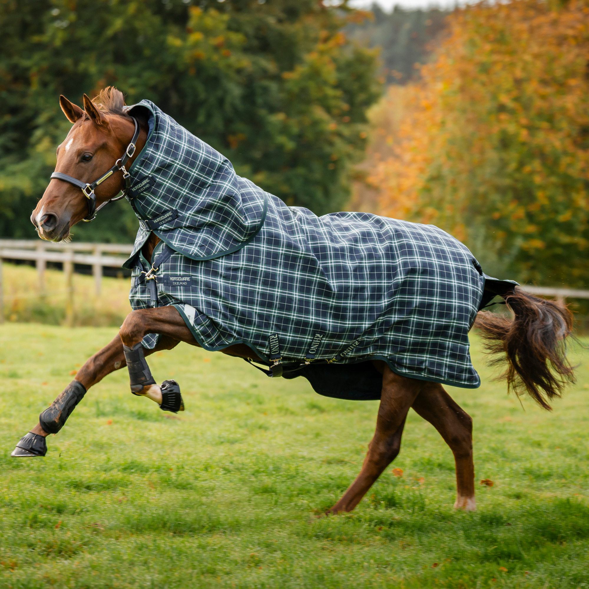 Rhino Turnout Lite Plus 0g Weidedecke