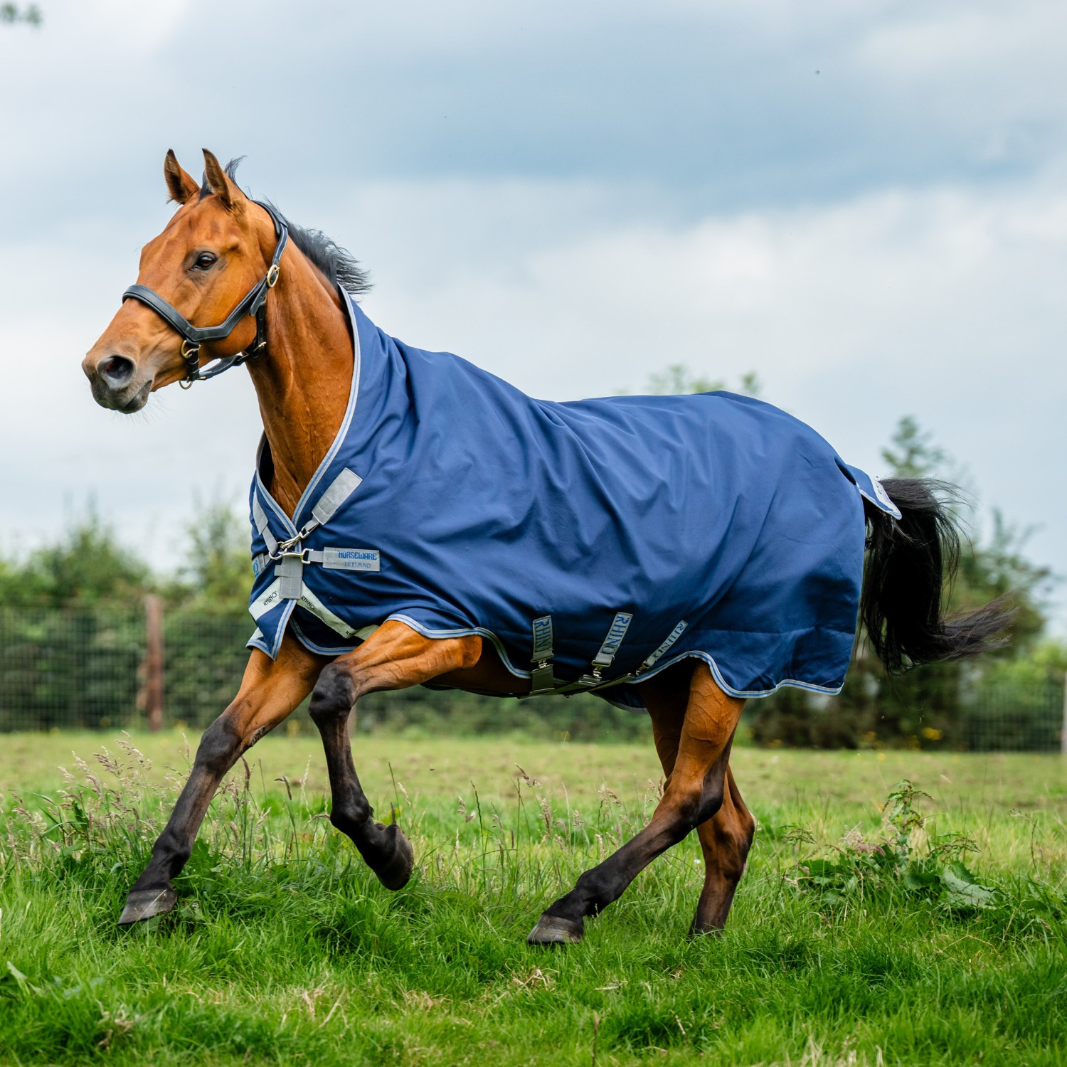 Rhino Wug Vari-Layer Medium 250 g