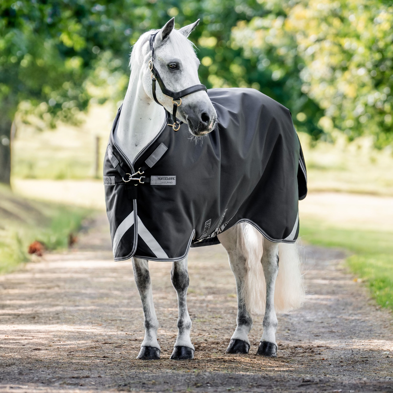 Rambo 1680D Turnout-Decke
