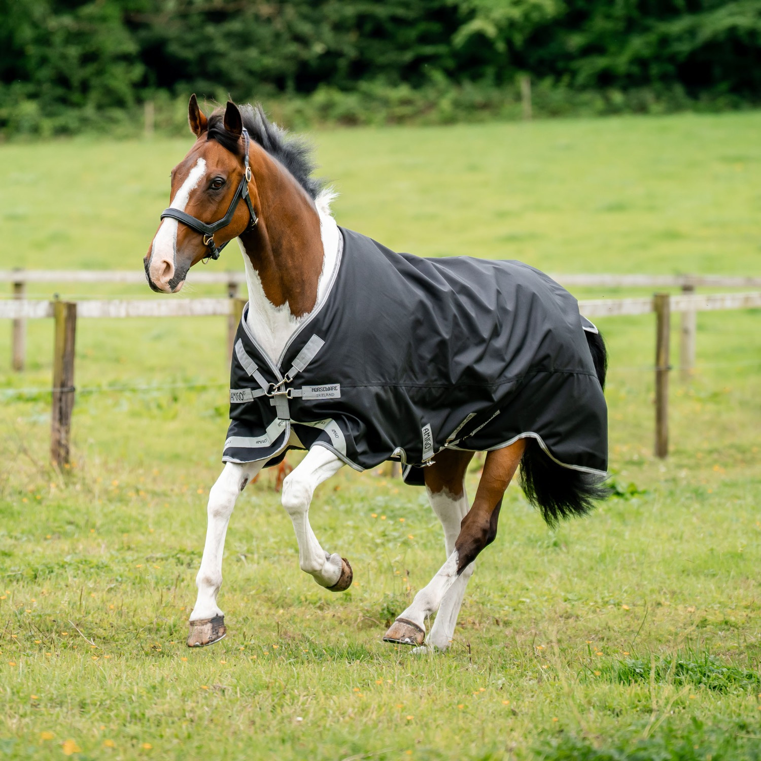 Amigo Bravo 1200D Turnout Blanket