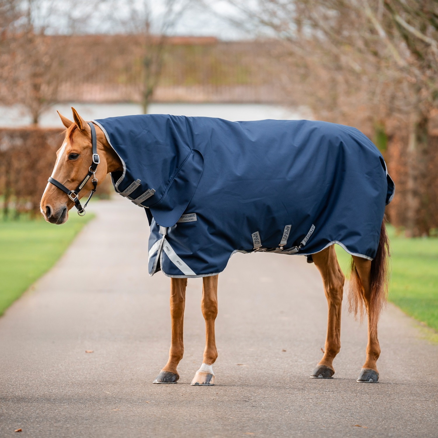 Amigo Bravo 1200D Integrated Turnout