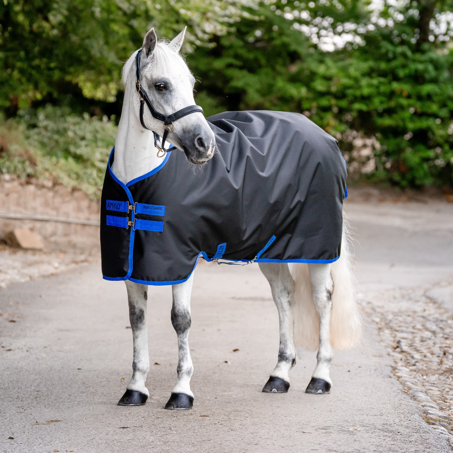 Amigo Ripstop 900D Pony Turnout Blanket