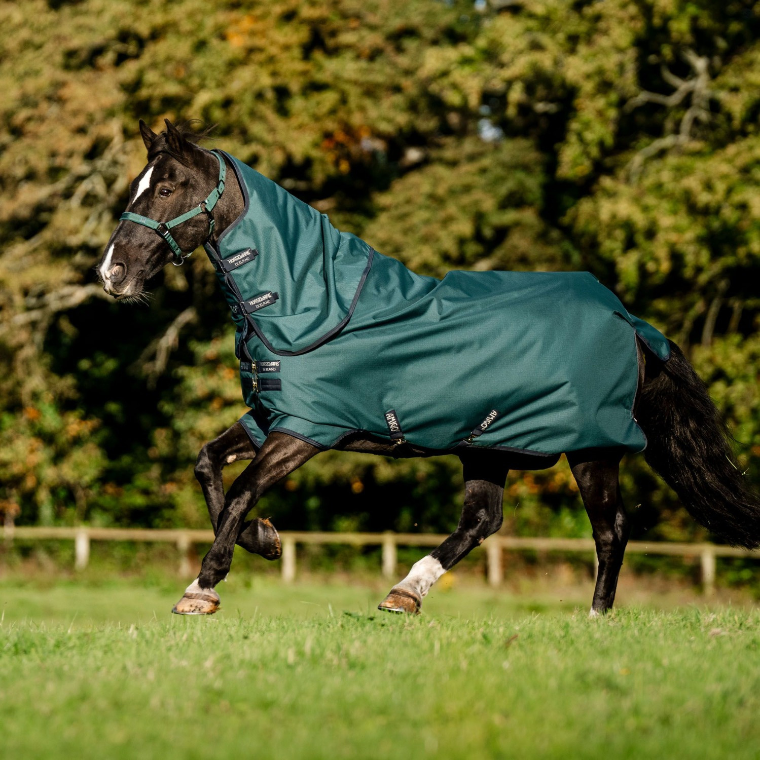 Amigo Ripstop 900D Plus Turnout Blanket