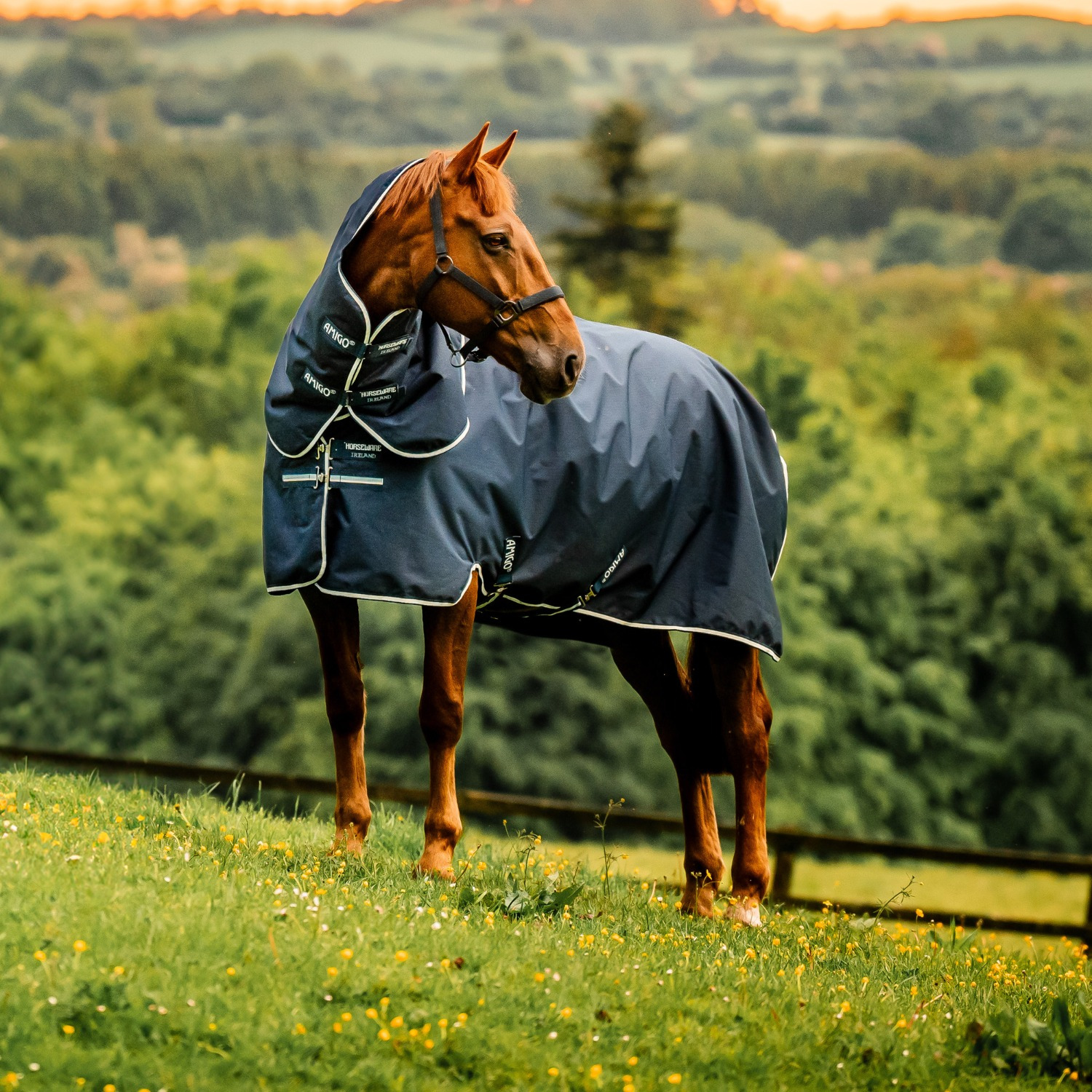 Amigo Ripstop 900D Plus Turnout Blanket