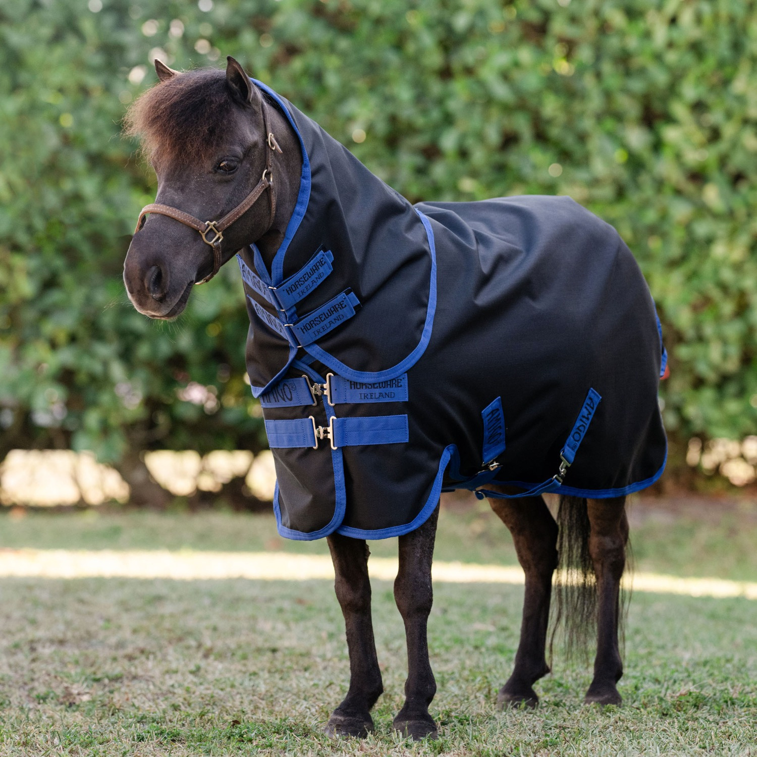 Amigo Ripstop 900D Plus Petite Turnout