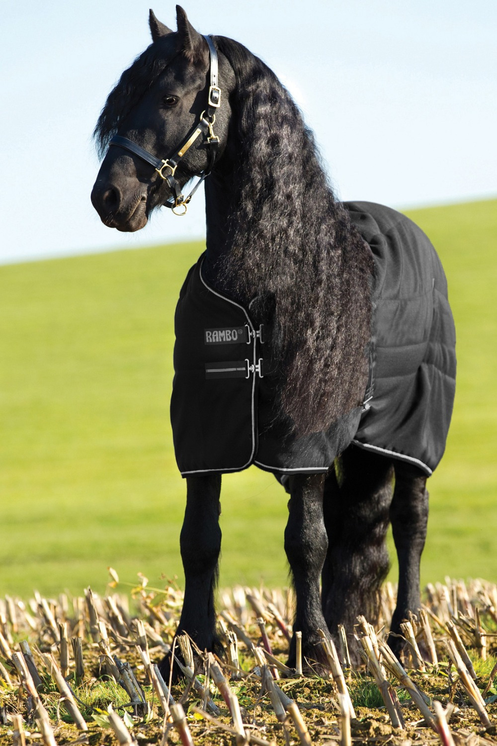 Rambo Stable Heavy 400g