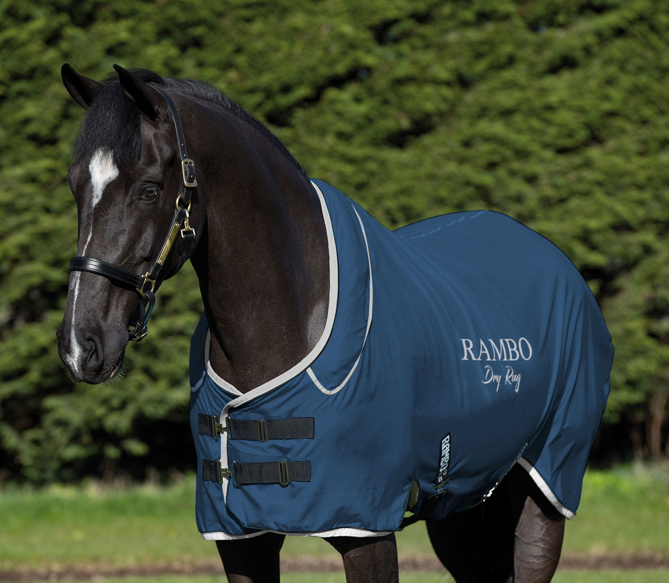 Rambo Supreme Abschwitzdecke