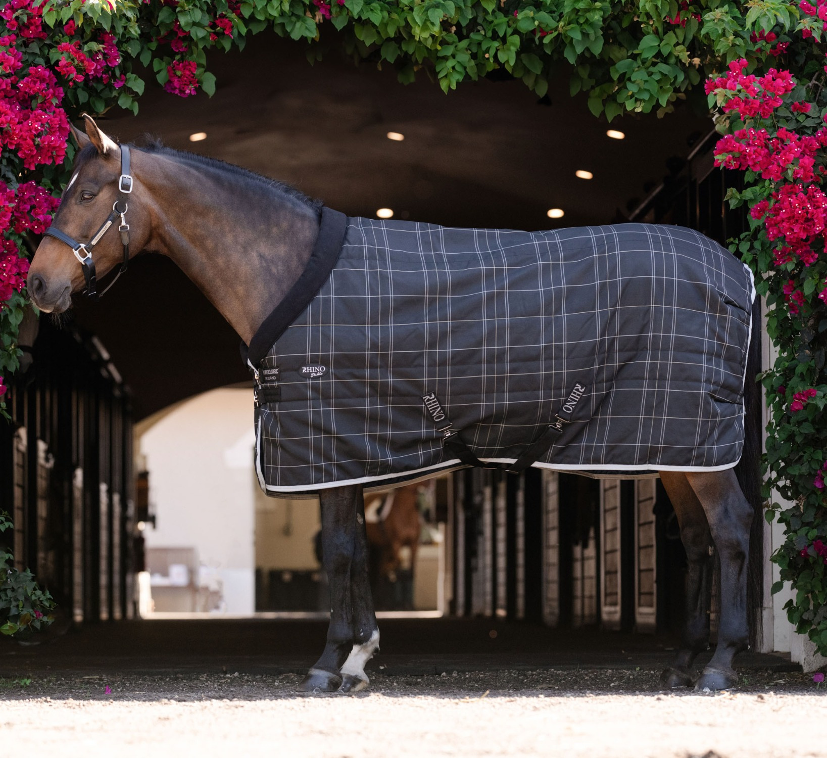 Rhino Pony-Stall