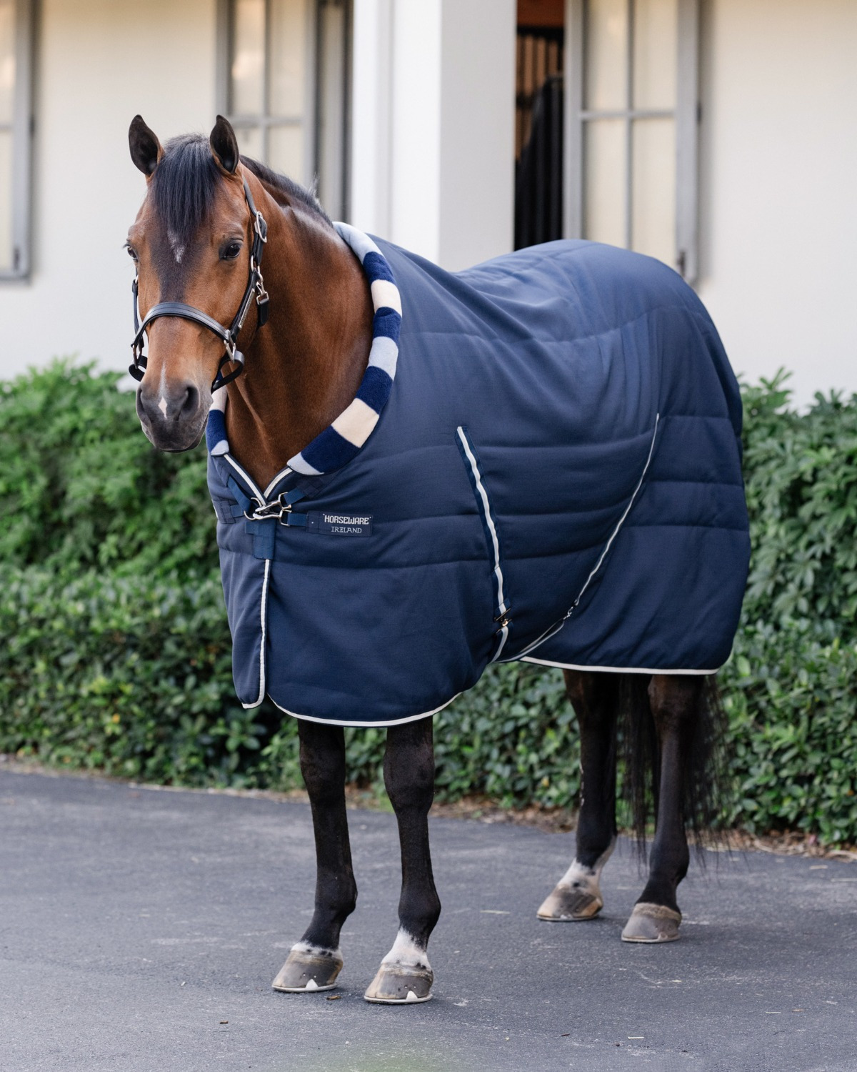 Horseware Newmarket Cosy Stall