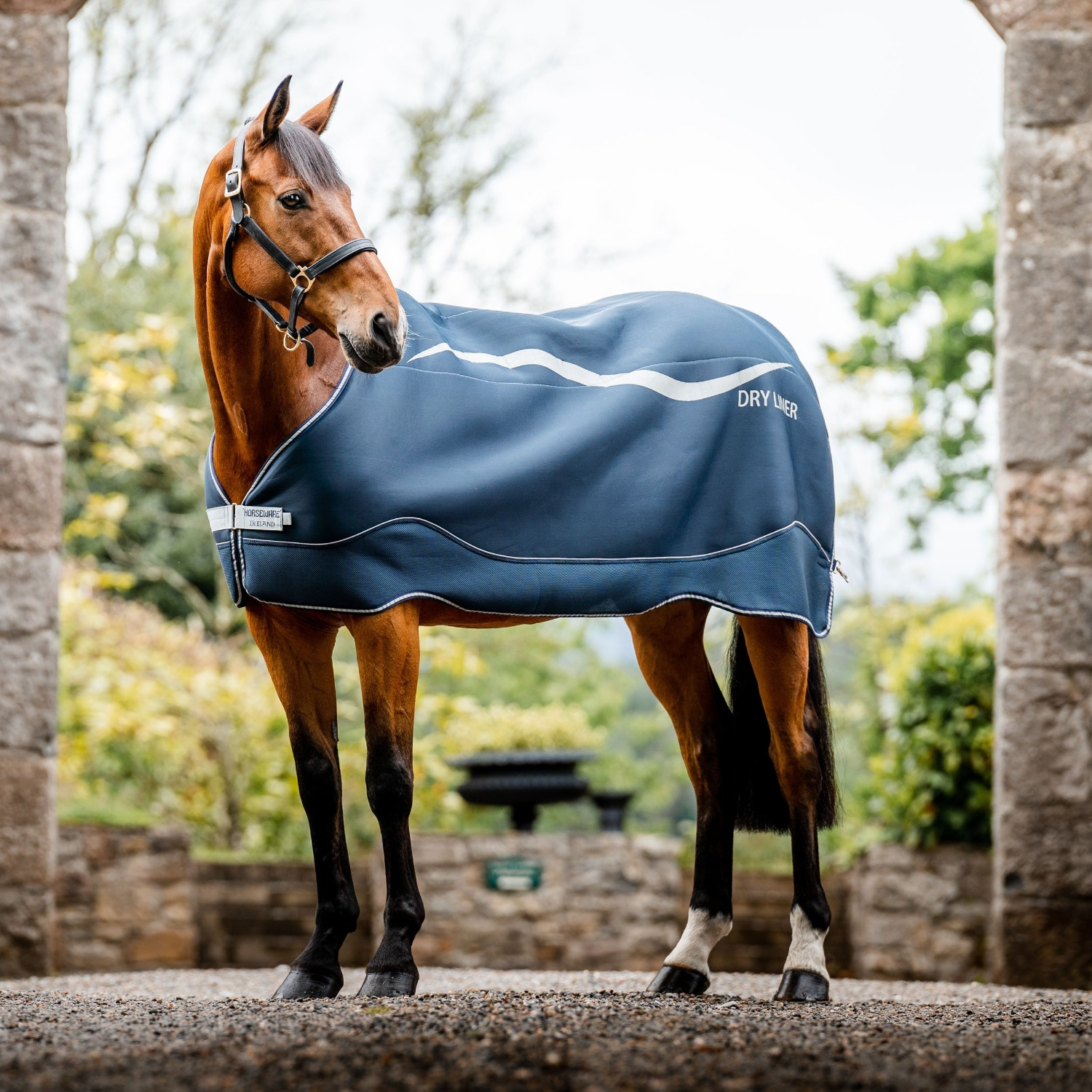 Horseware Trockeneinlage