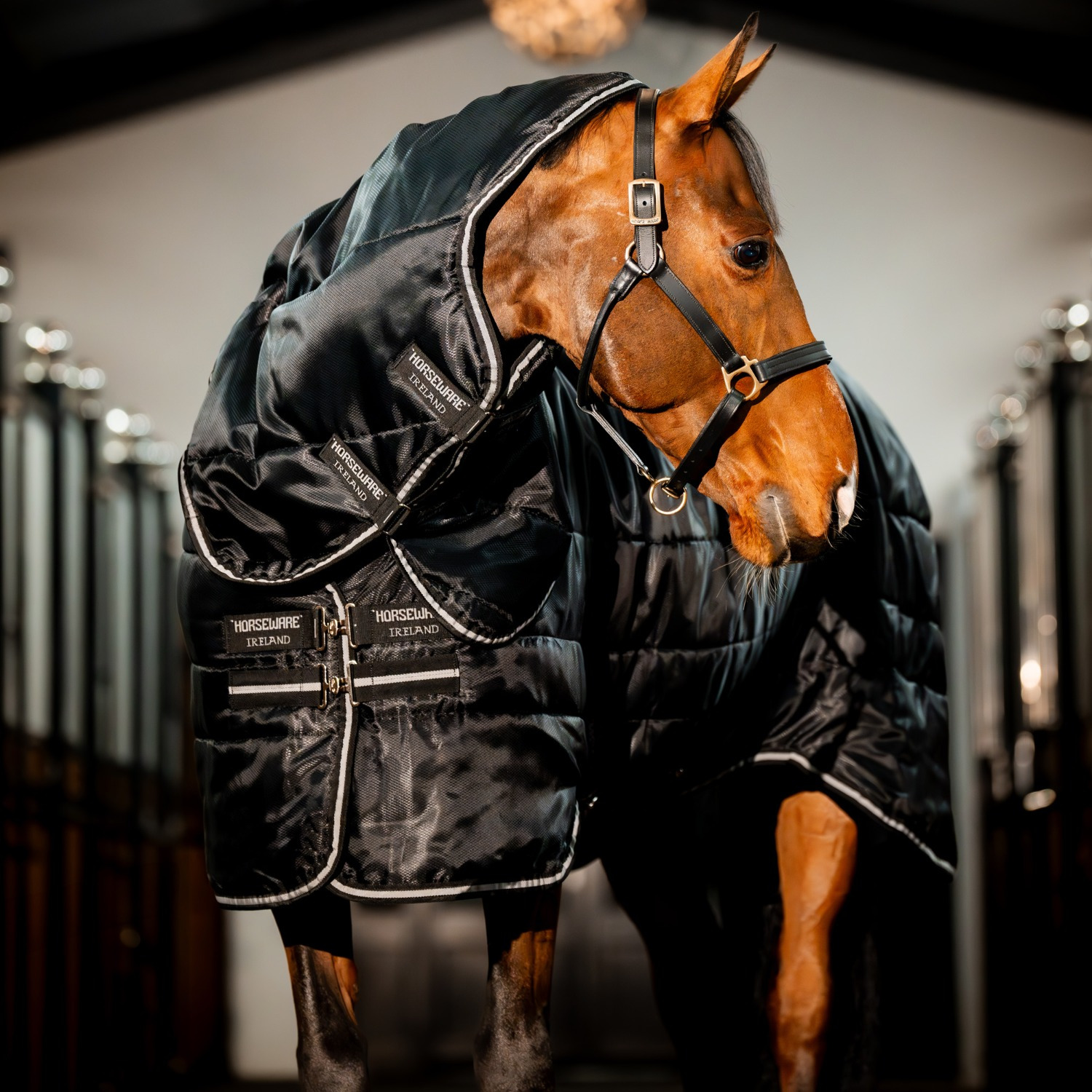 Horseware Easy-Layer Stall Plus