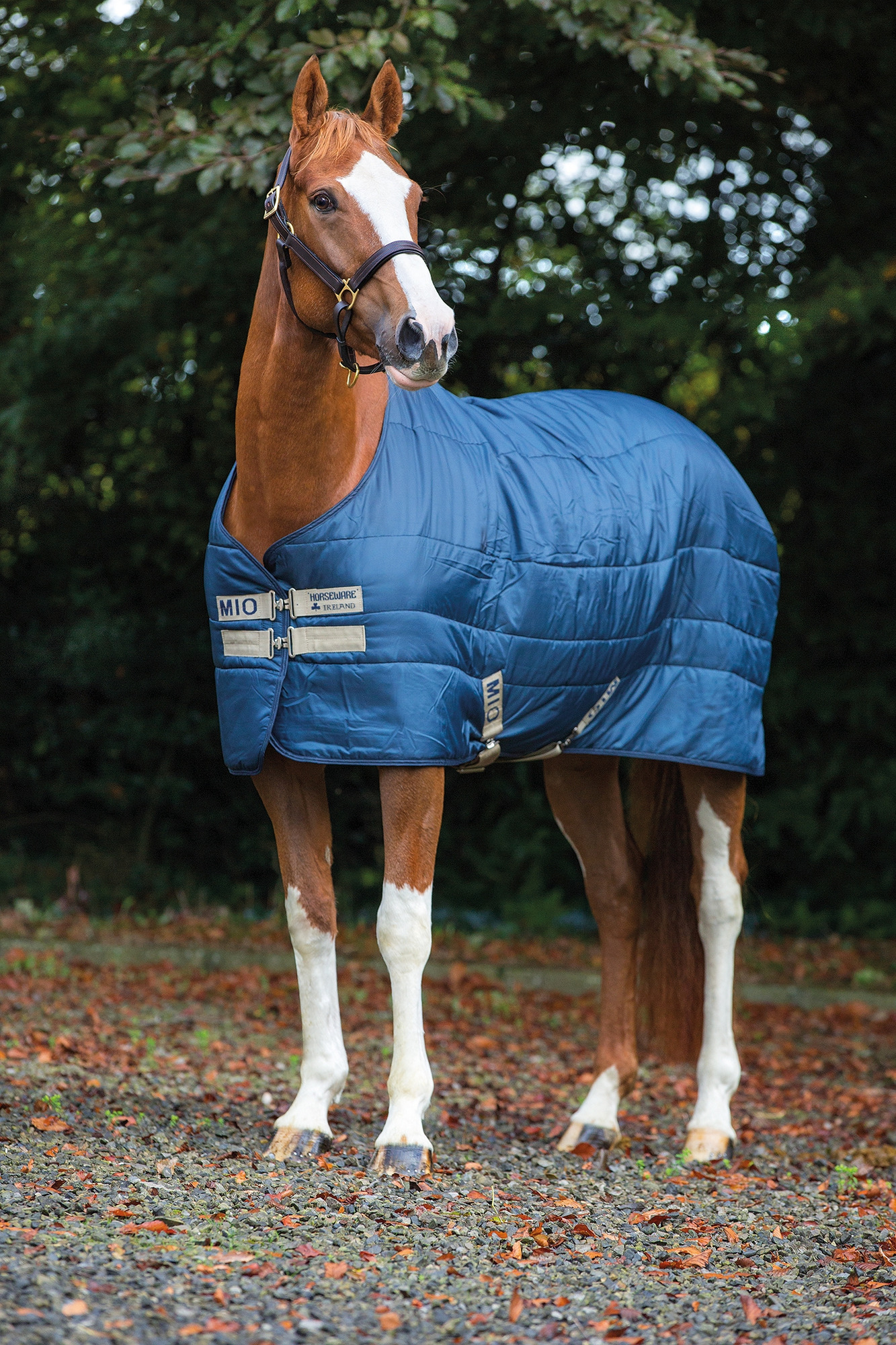 MIO Insulator Medium 150 g