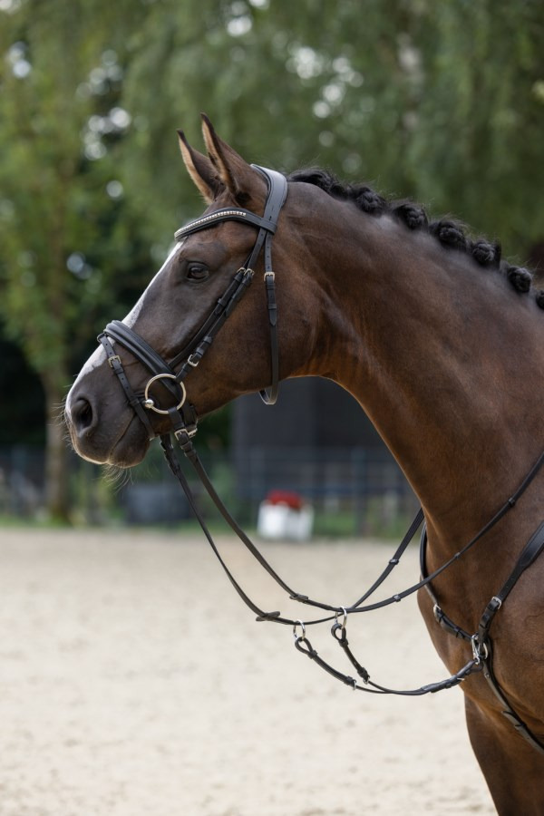 Covalliero Snaffle Bridle Clincher