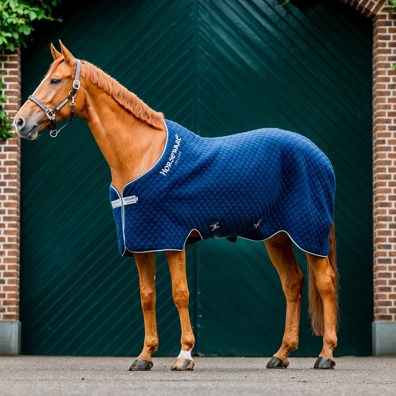 Horseware Herbst-Abschwitzdecke