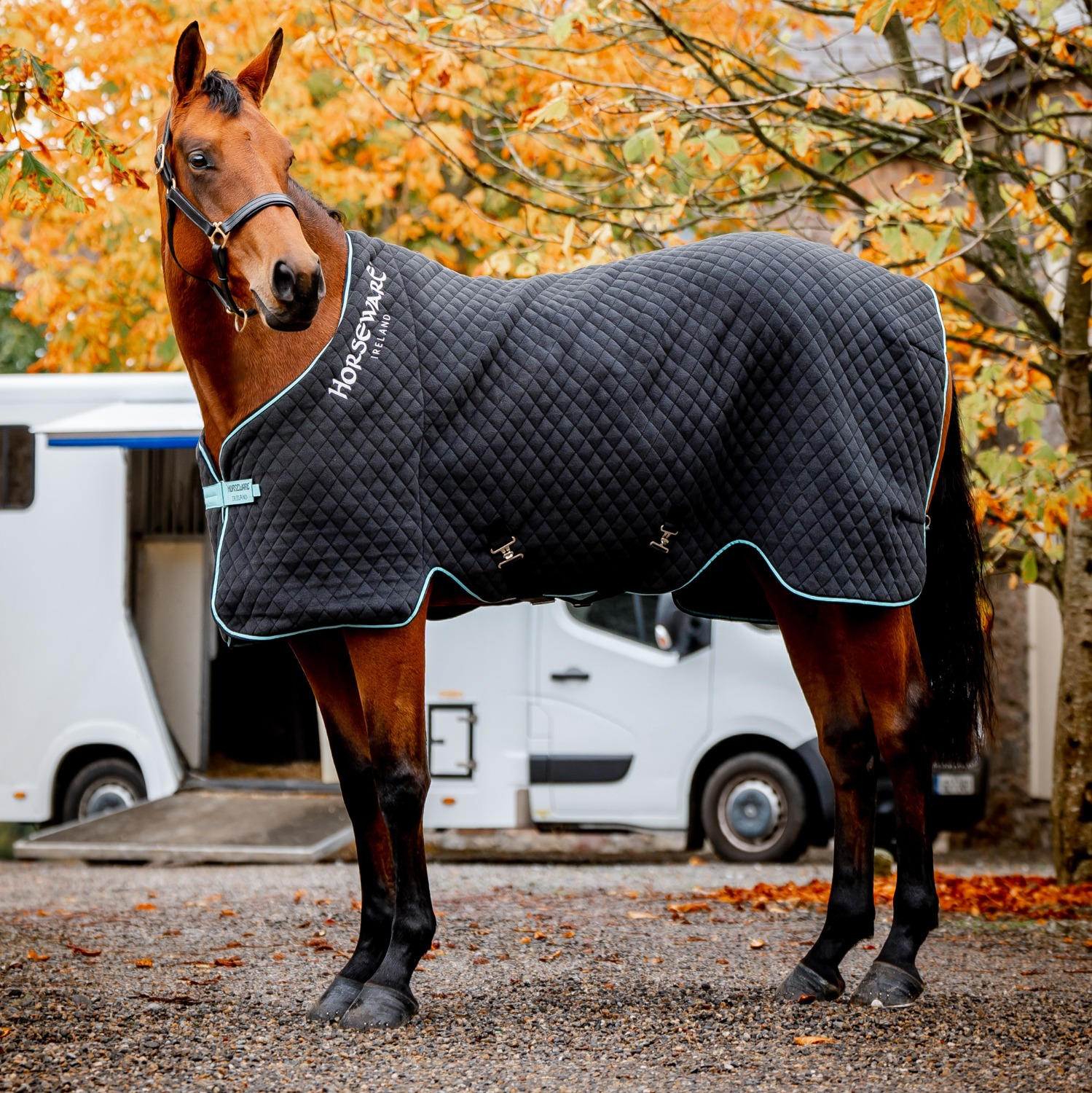 Horseware Herbst-Abschwitzdecke
