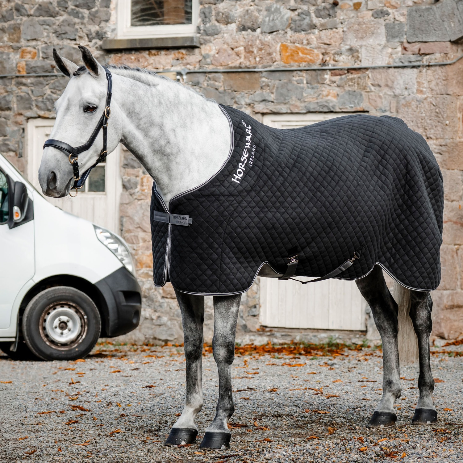 Horseware Thermo-Abschwitzdecke