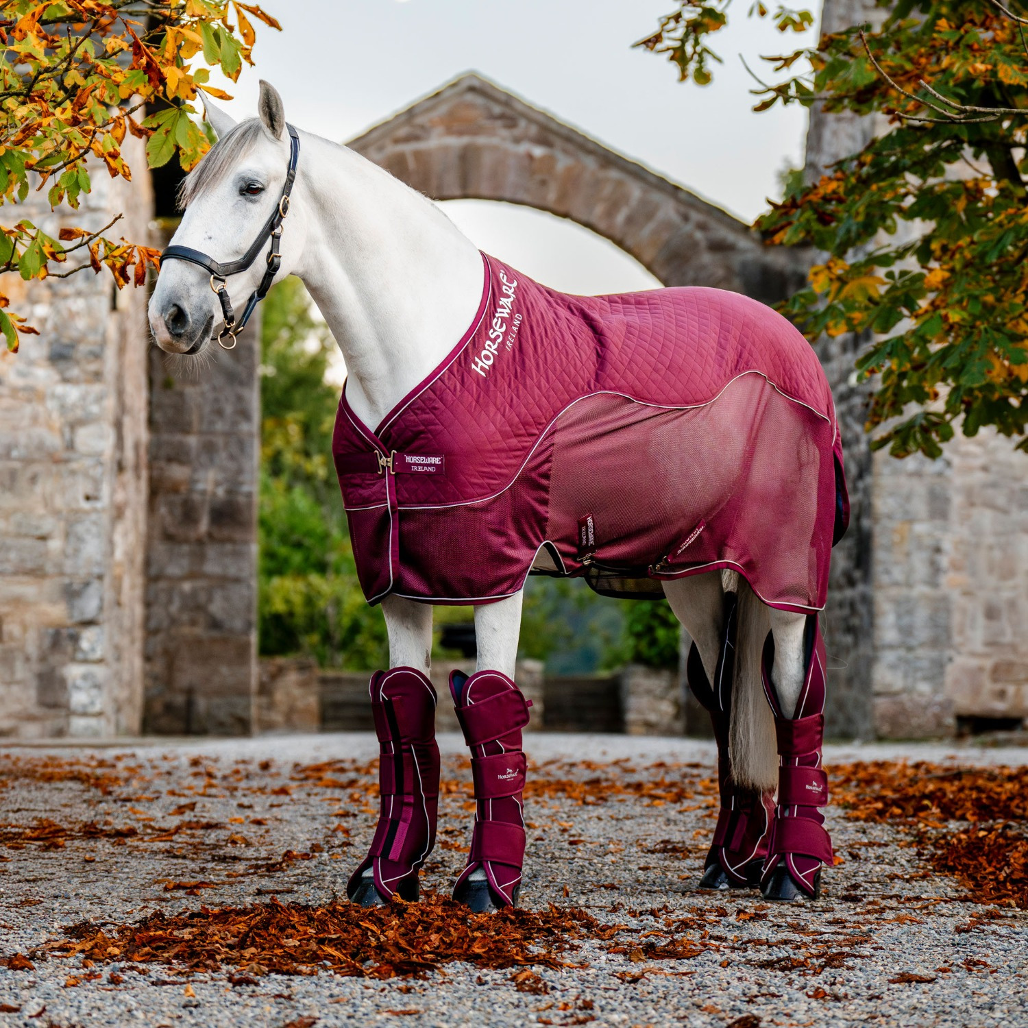 Horseware Signature Transport-Abschwitzdecke