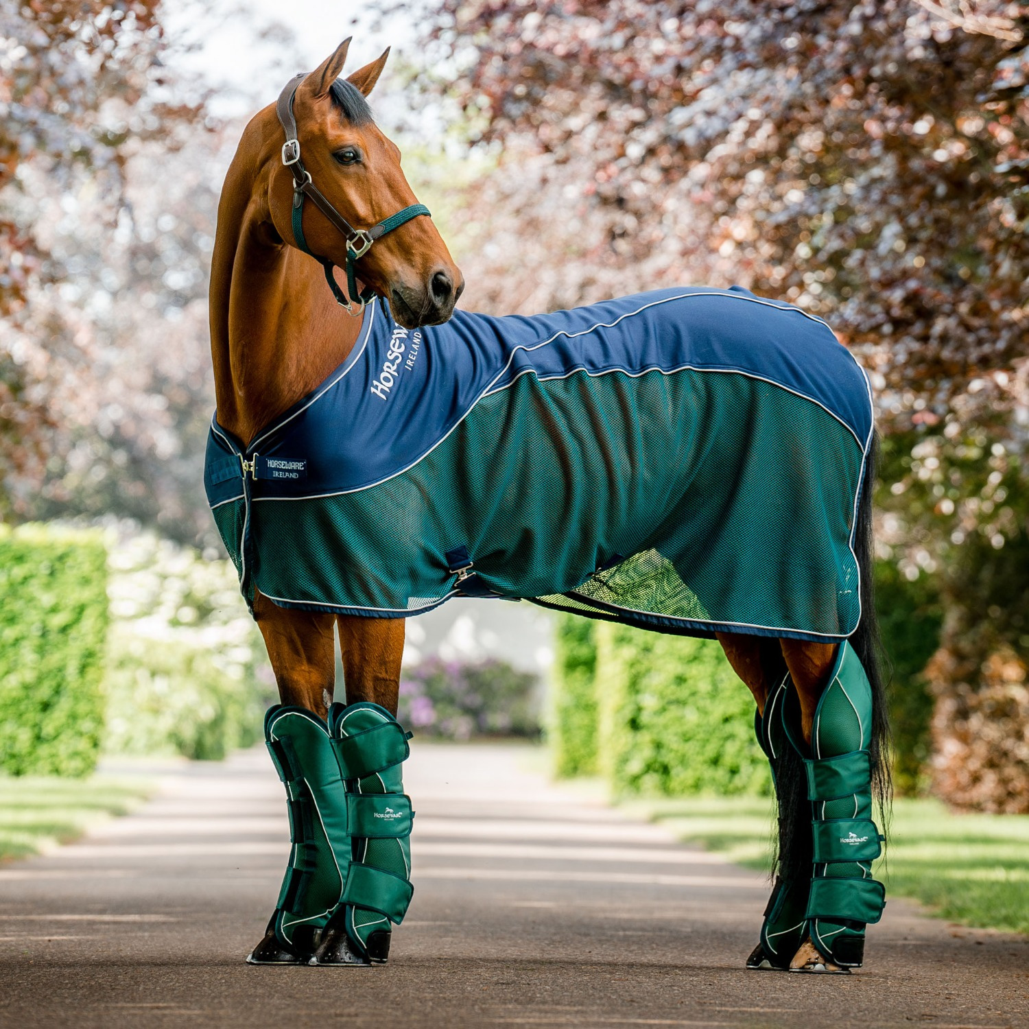 Horseware Signature Sport Abschwitzdecke