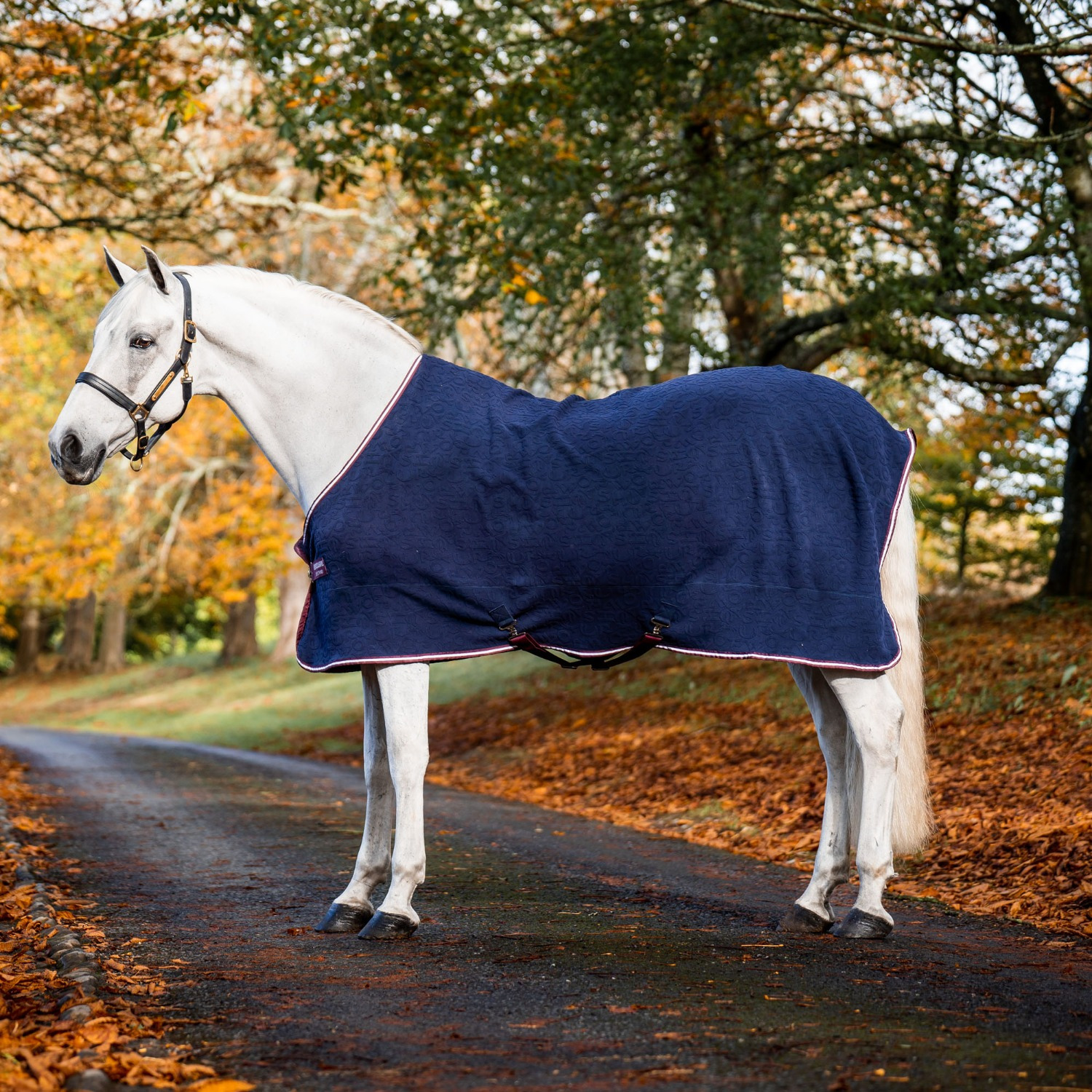 Horseware Geprägte Jersey-Abschwitzdecke