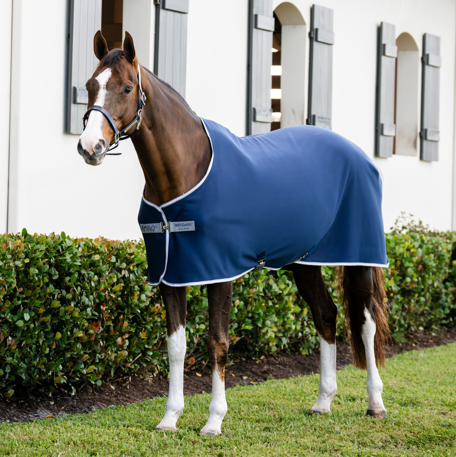 Amigo Jersey Cooler