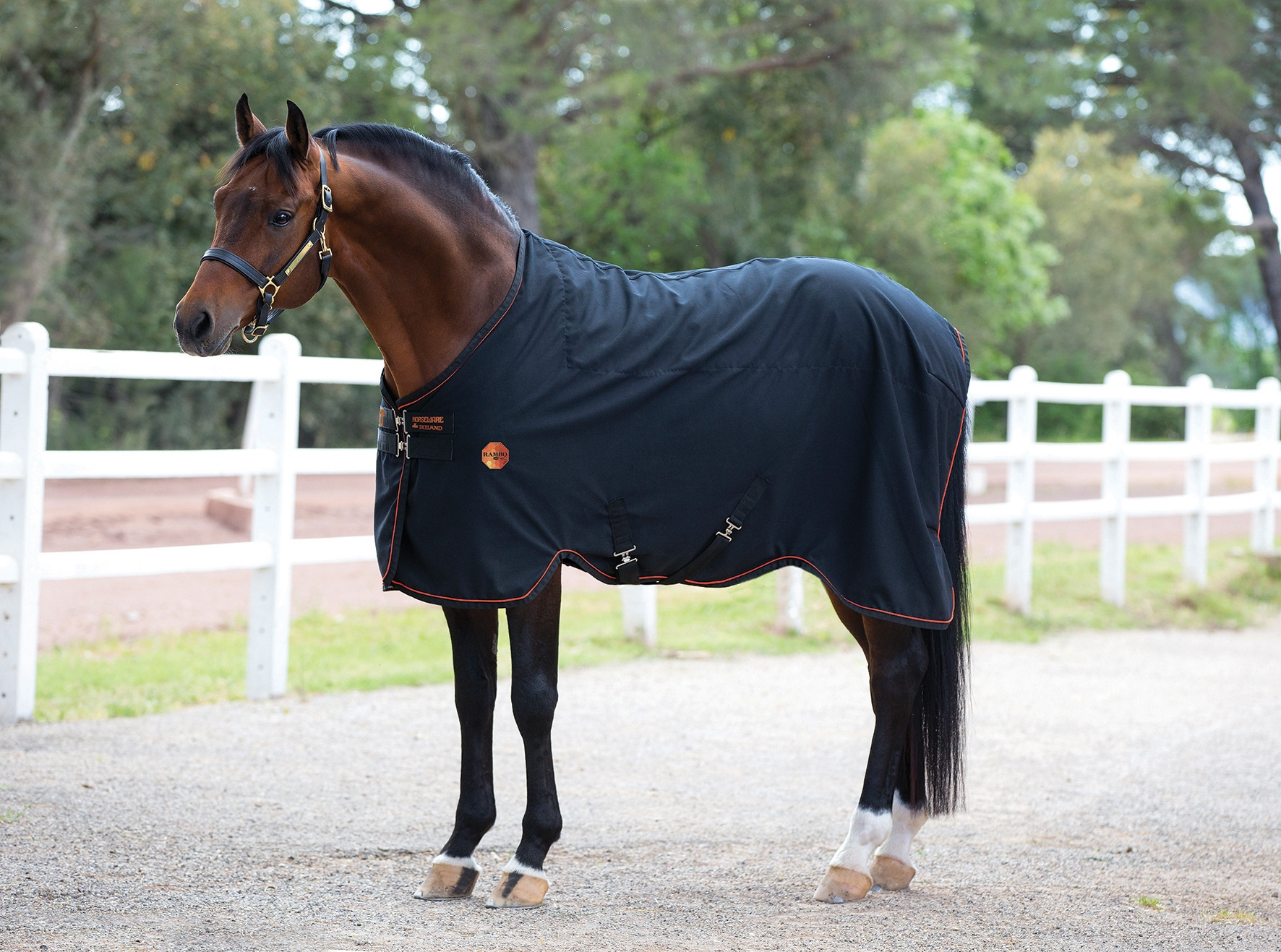 Rambo ionic Stable Sheet 0gr