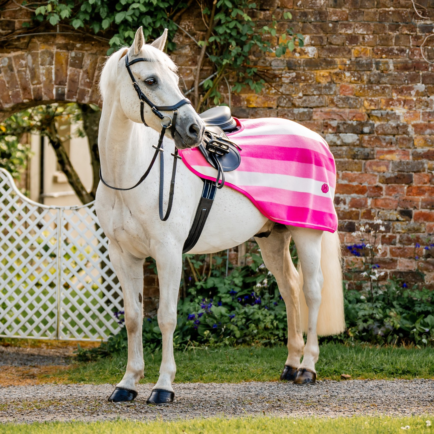 Horseware Newmarket Ausreitdecke