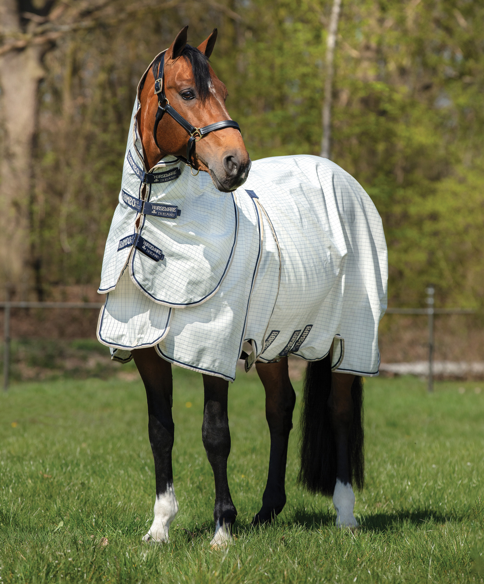 Rambo Optimo Supreme Sommerdecke