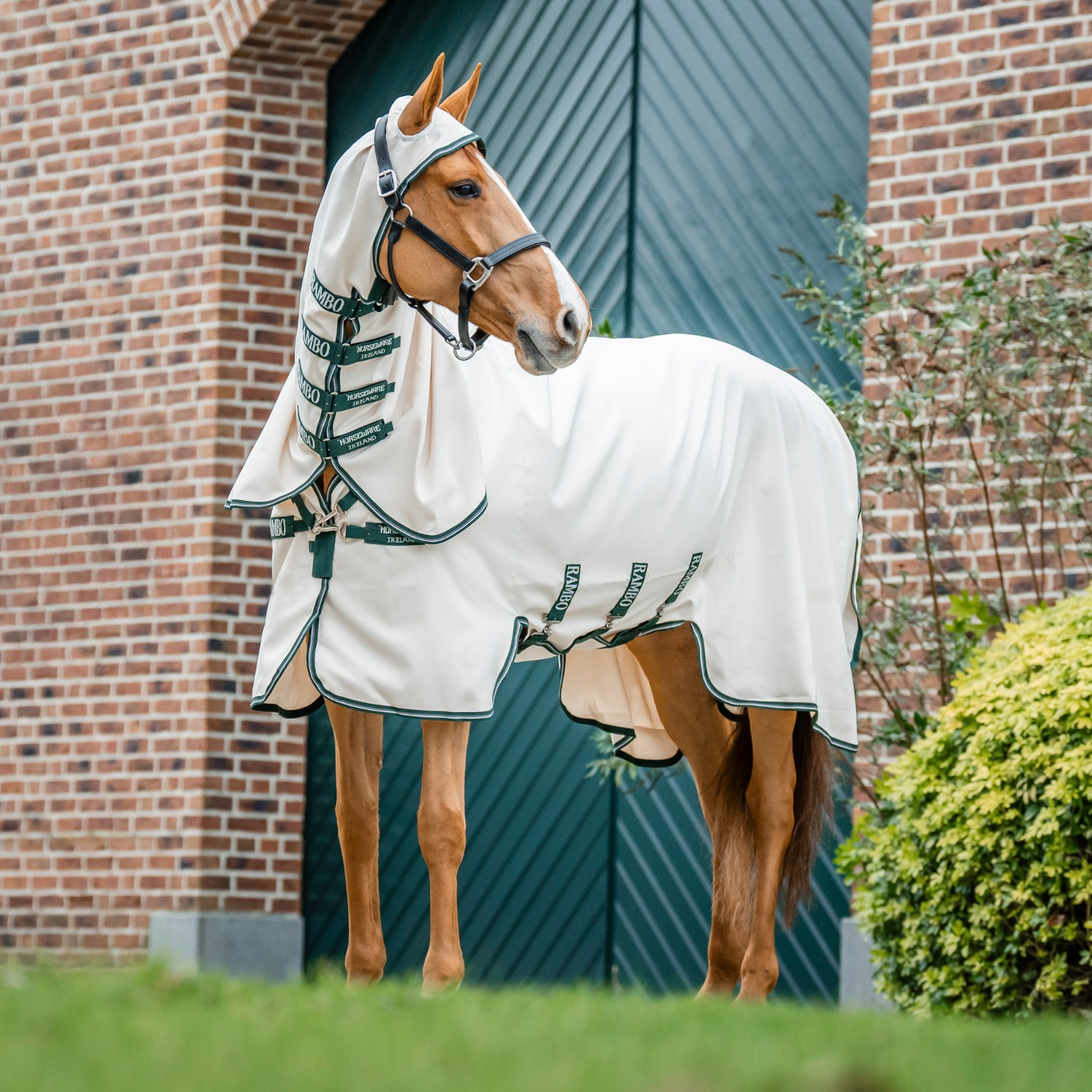 Rambo Hoody eczeemdeken met hals