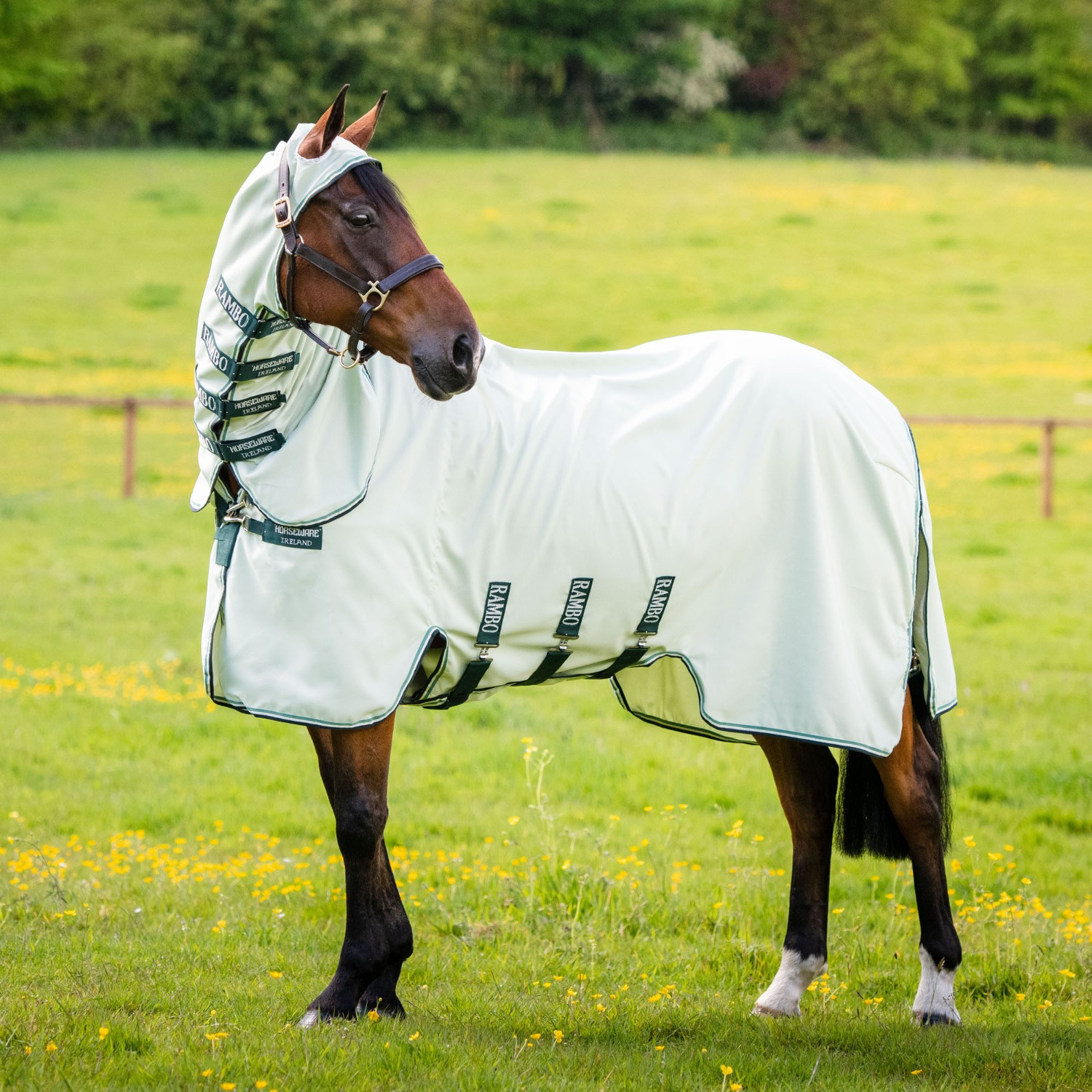 Rambo Hoody Ekzemerdecke mit Halsteil